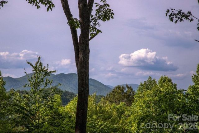 339 Honey Locust Trail, Whittier, NC, 28789