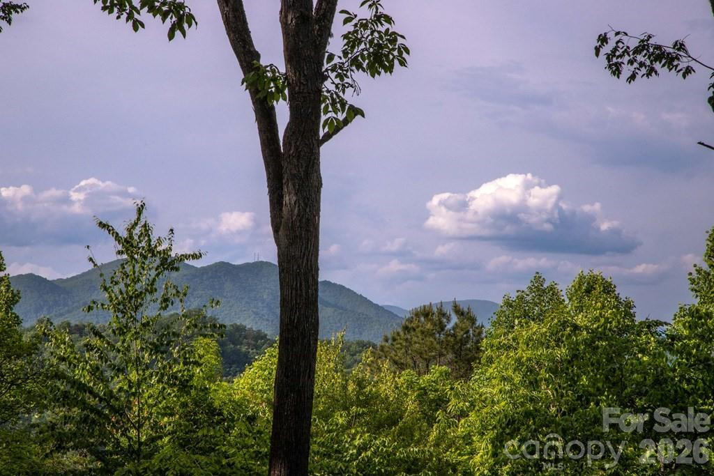 339 Honey Locust Trail #9