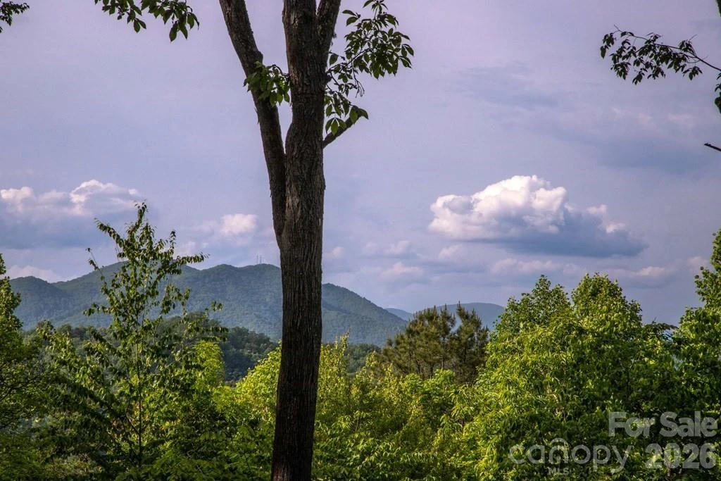 339 Honey Locust Trail #9