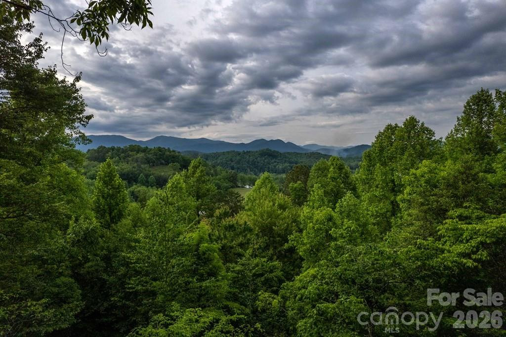 339 Honey Locust Trail #9 - Photo 31