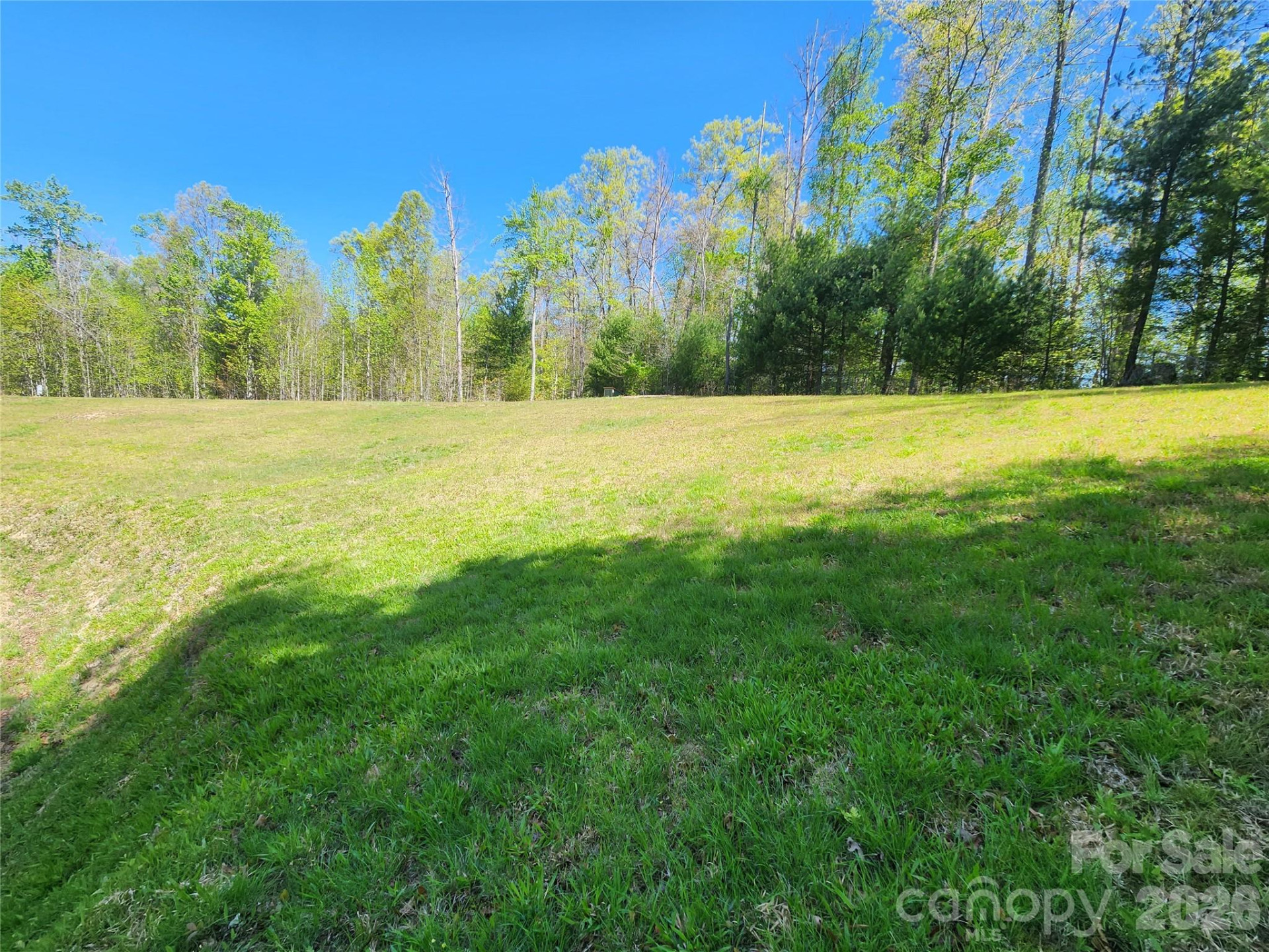 889 Firefly Trail - Photo 2