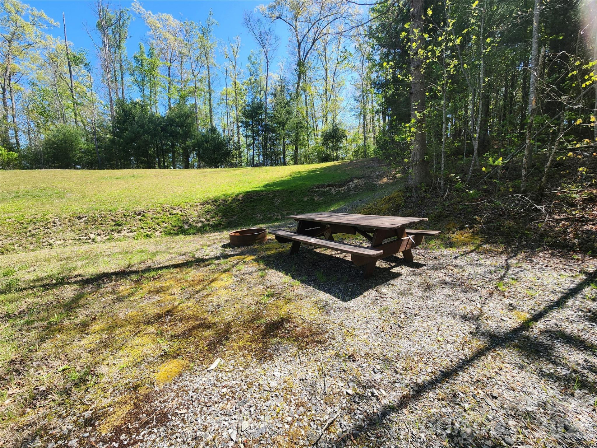 889 Firefly Trail - Photo 11