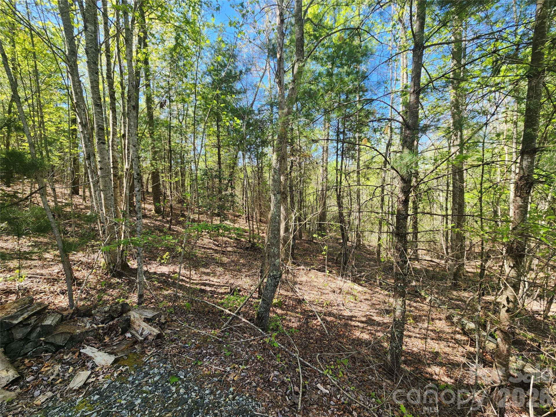 889 Firefly Trail - Photo 13