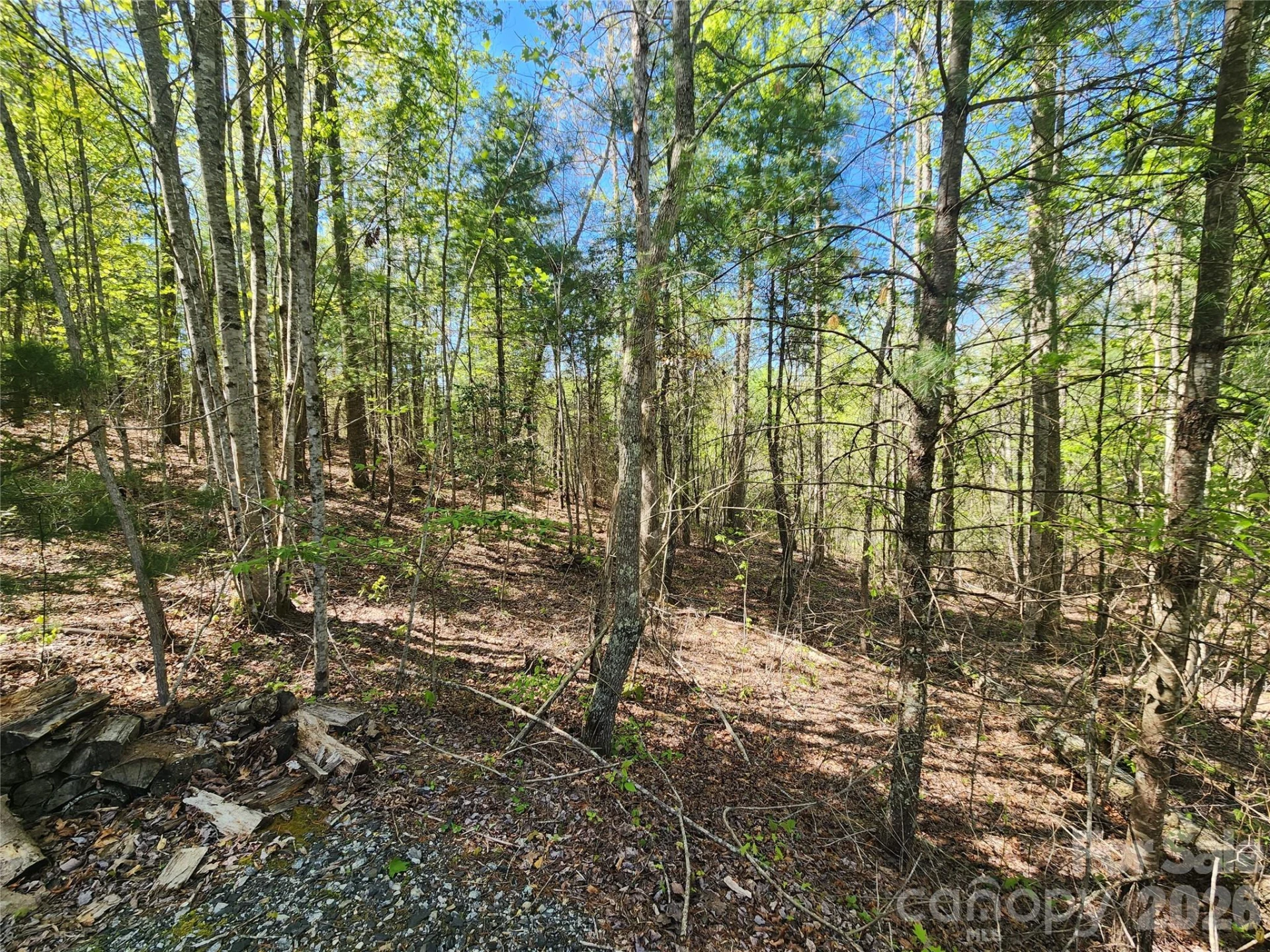 889 Firefly Trail - Photo 13