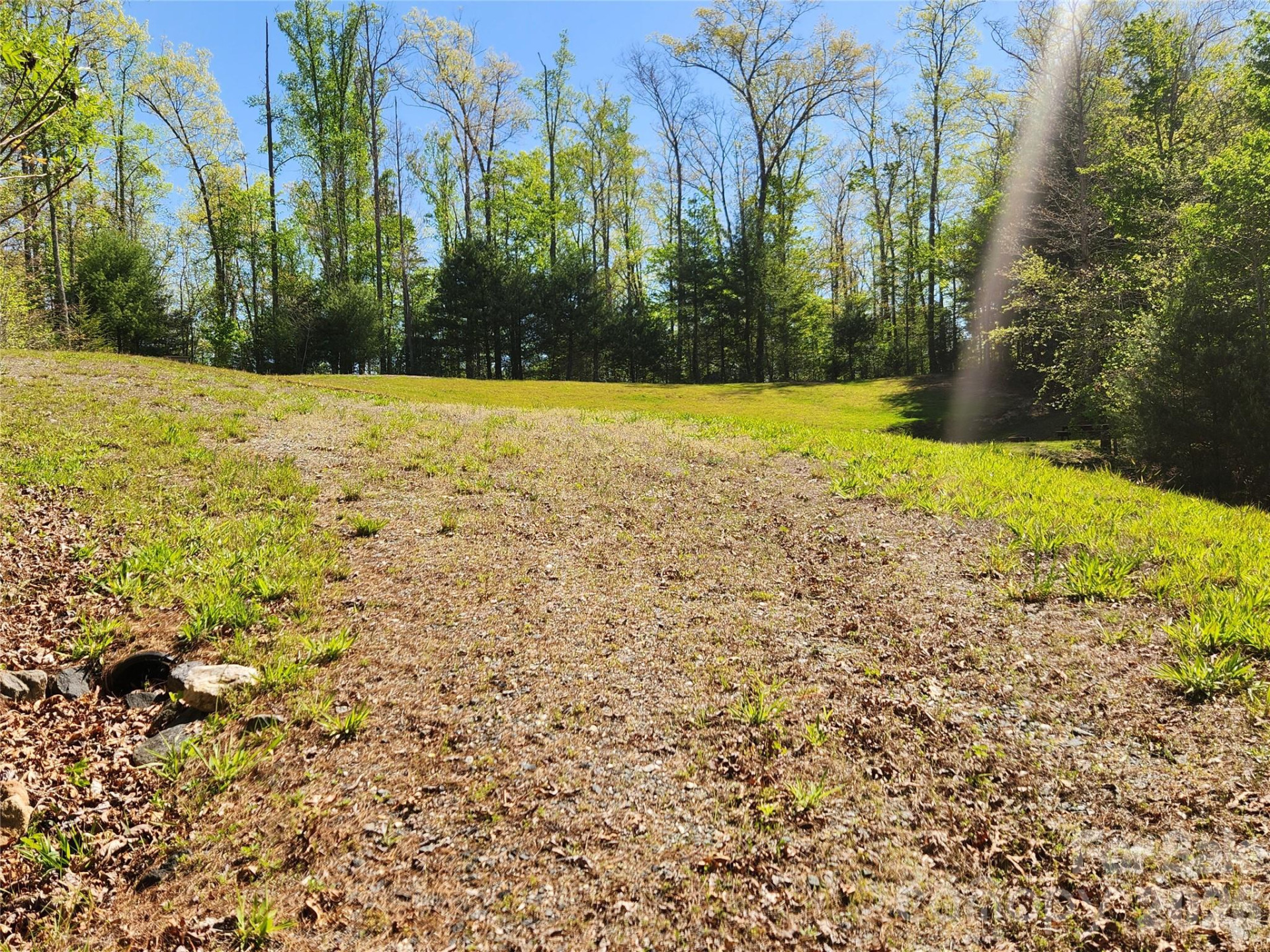 889 Firefly Trail - Photo 14