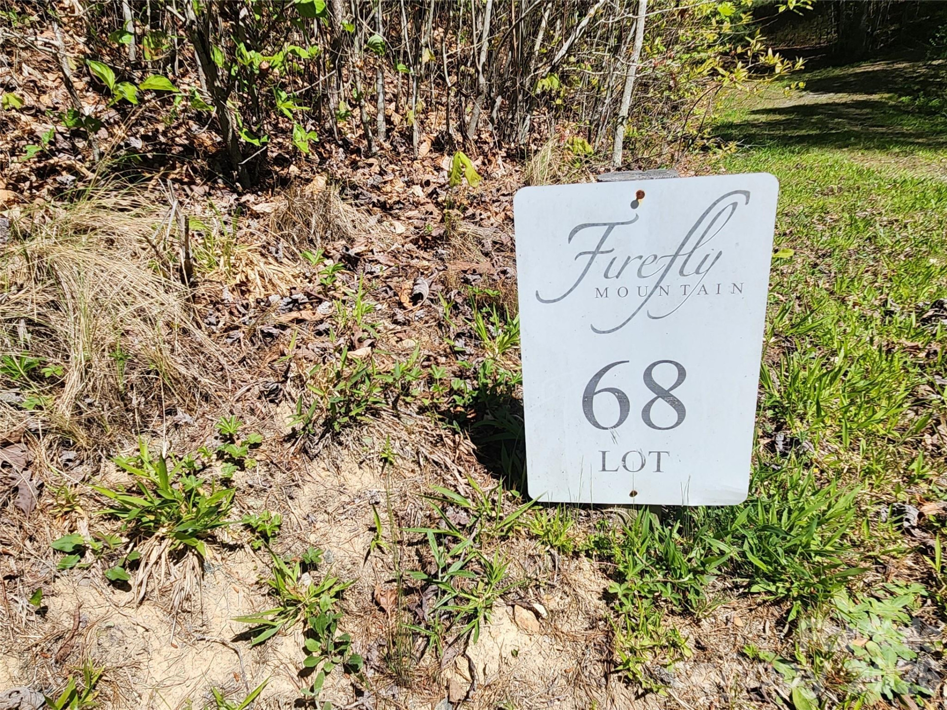 889 Firefly Trail - Photo 16