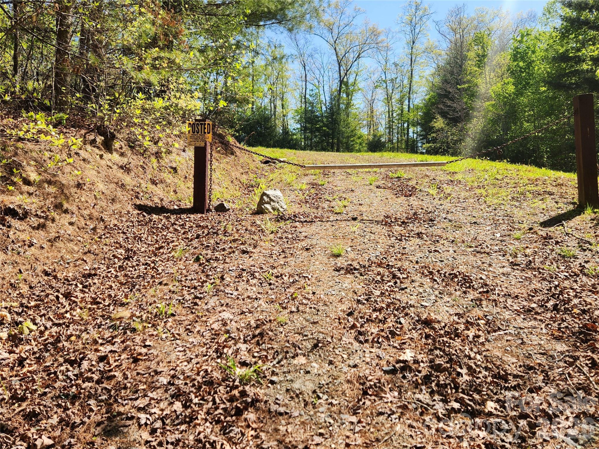 889 Firefly Trail - Photo 17