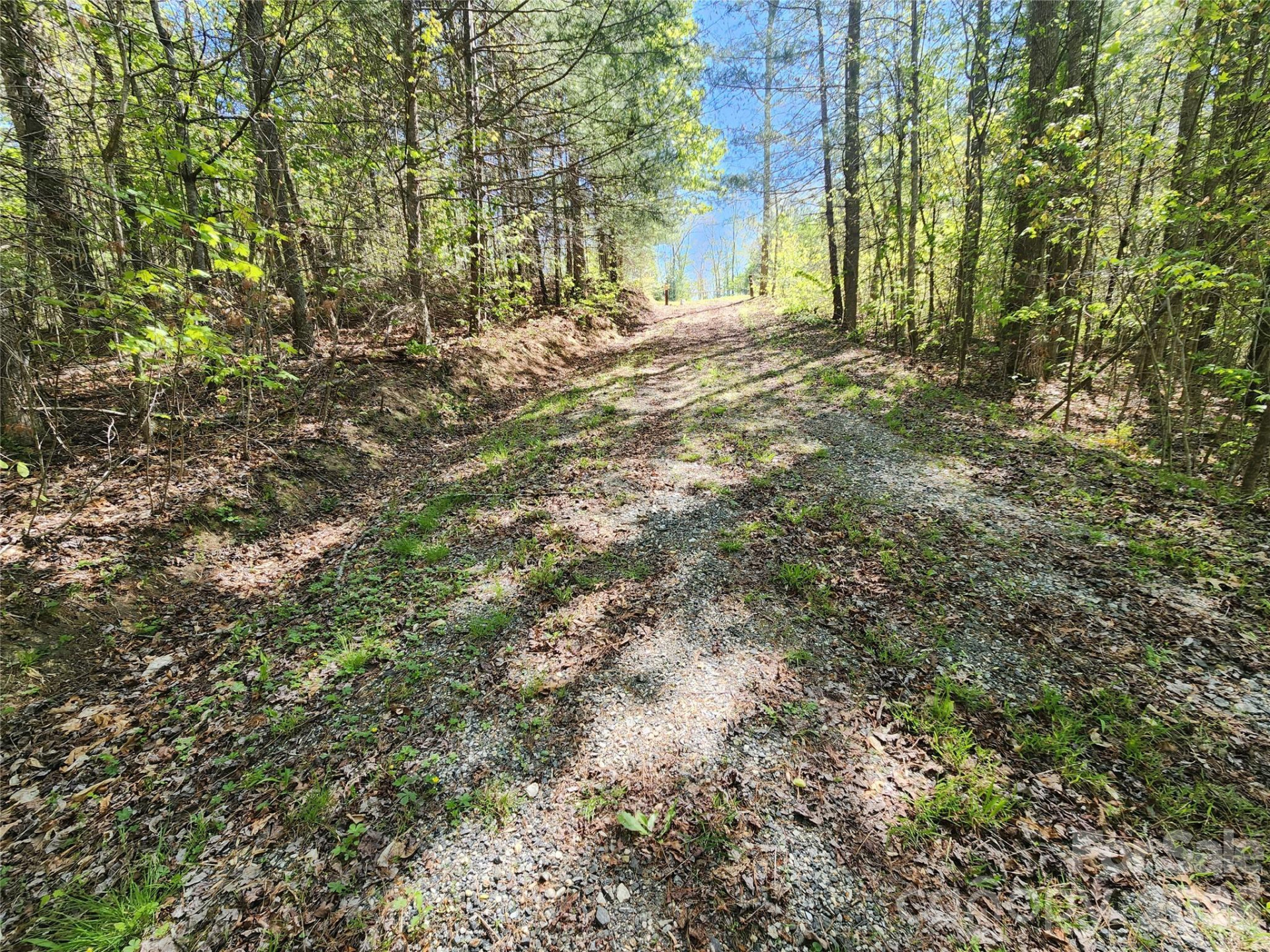 889 Firefly Trail - Photo 18