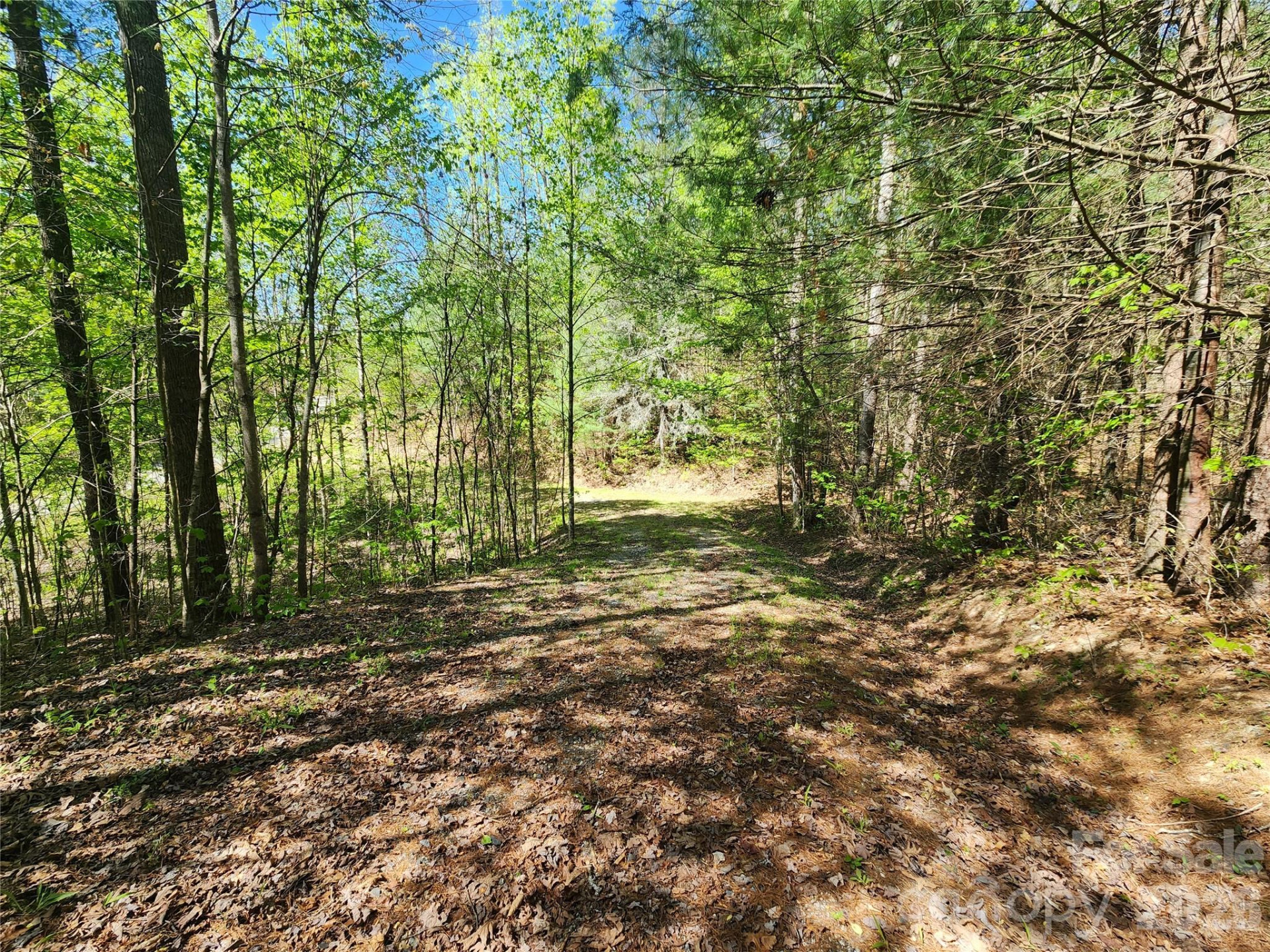 889 Firefly Trail - Photo 19