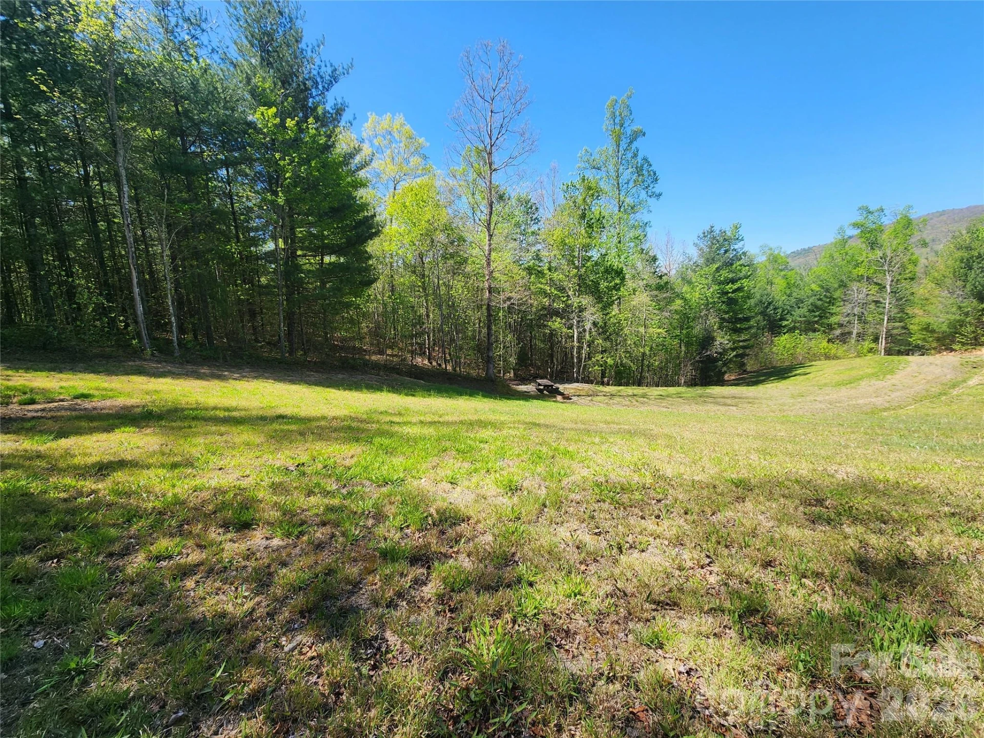 889 Firefly Trail - Photo 3