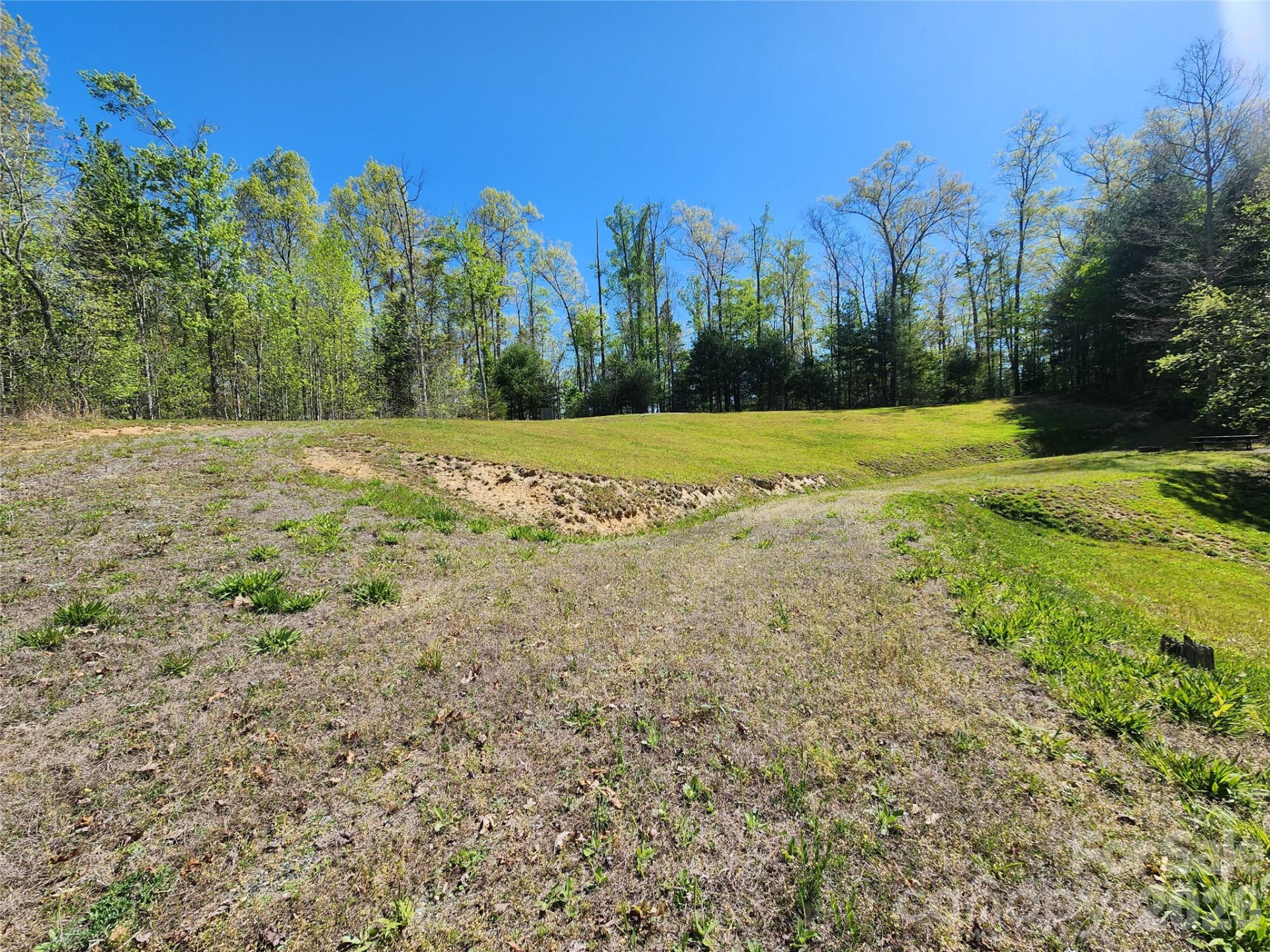 889 Firefly Trail - Photo 21