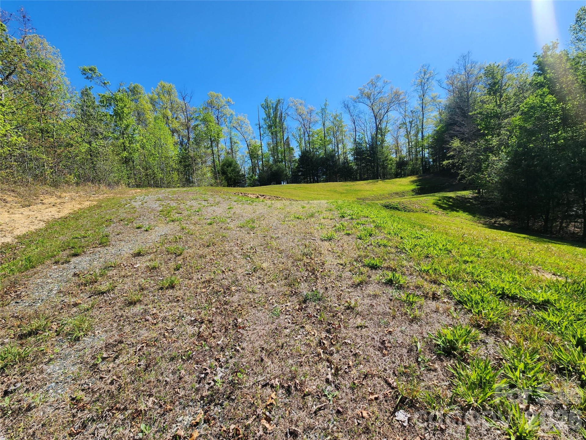 889 Firefly Trail - Photo 22