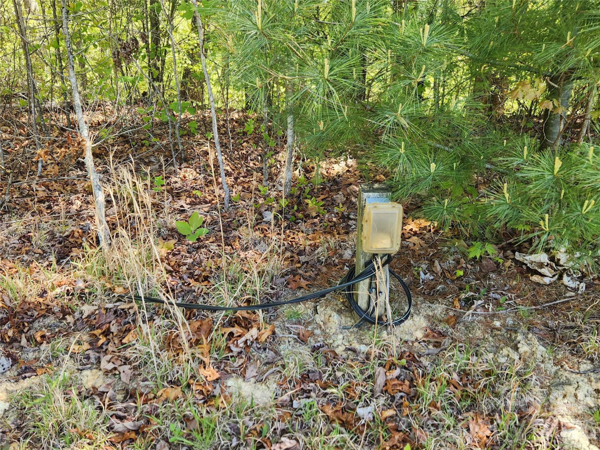 889 Firefly Trail - Photo 25