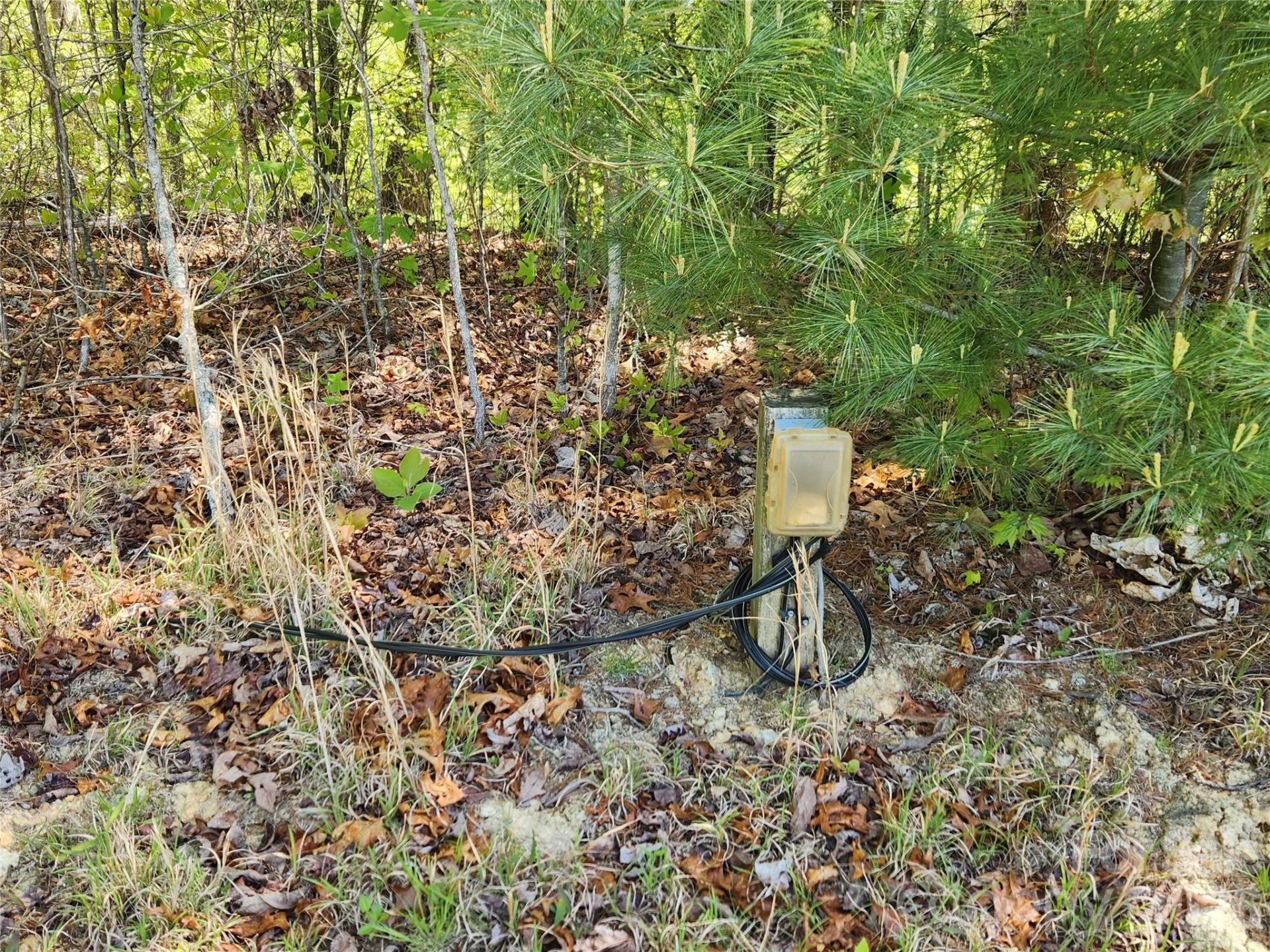 889 Firefly Trail - Photo 25