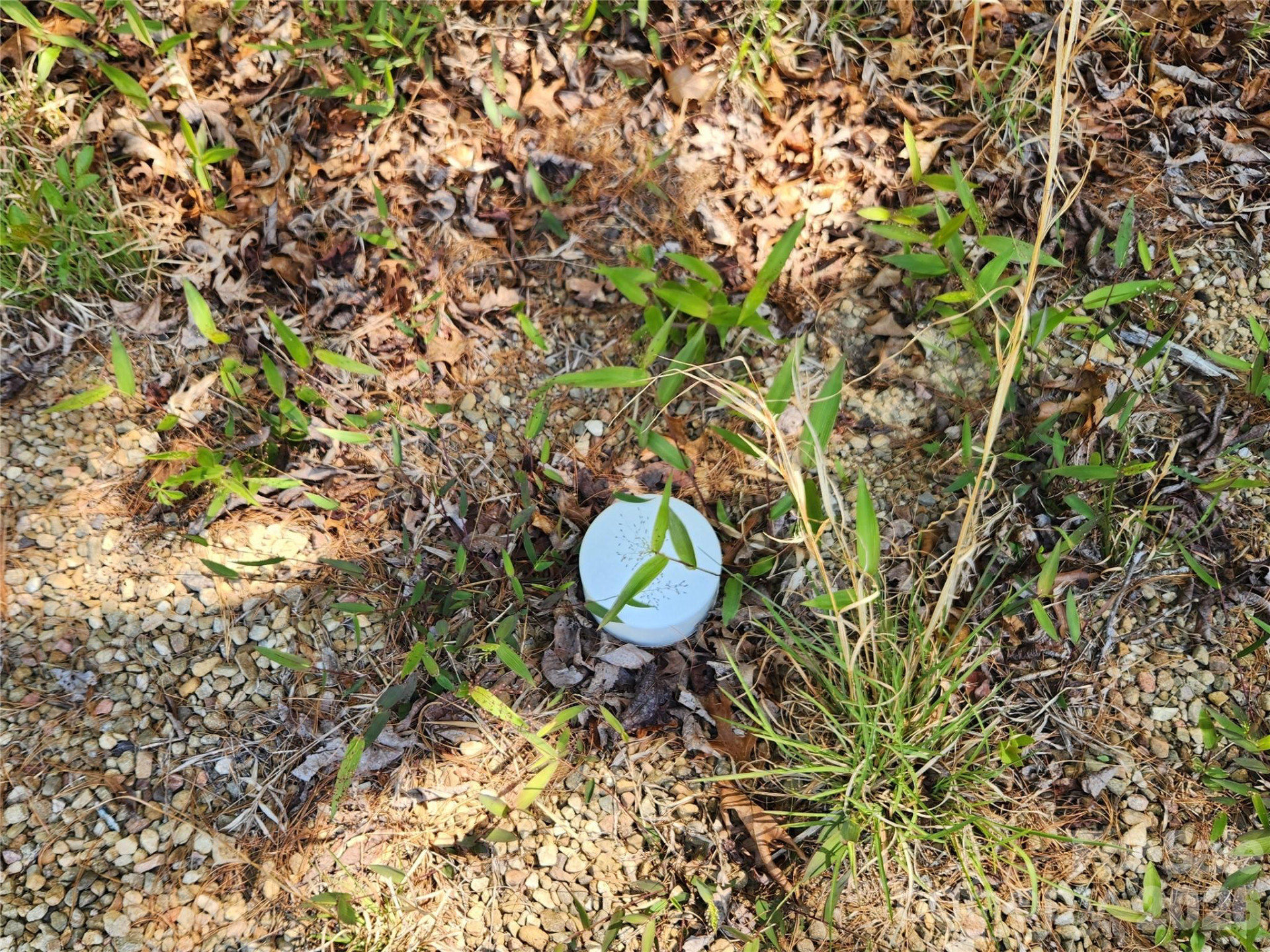 889 Firefly Trail - Photo 26