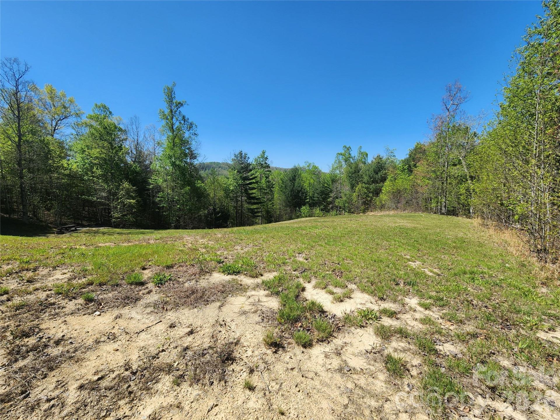 889 Firefly Trail - Photo 29