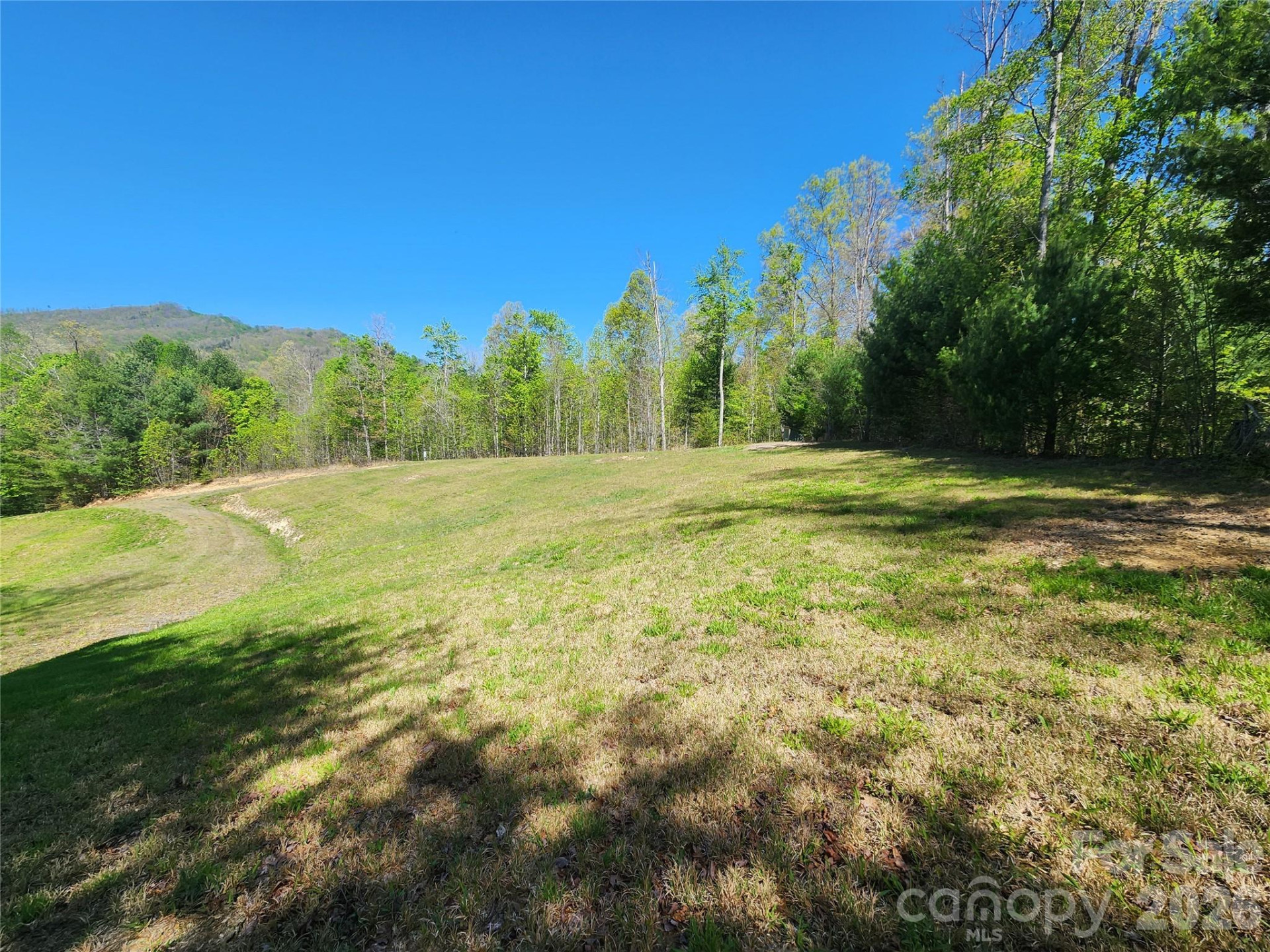 889 Firefly Trail - Photo 4