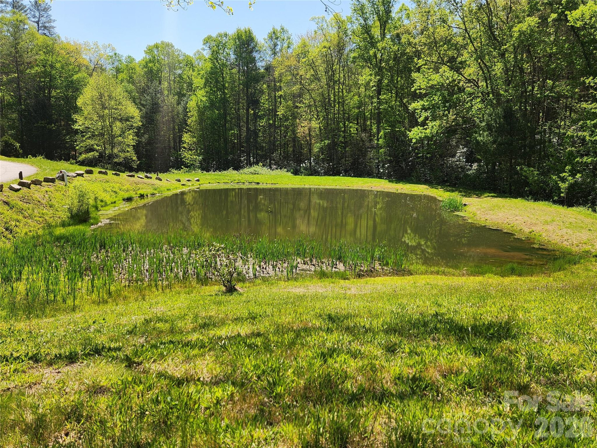 889 Firefly Trail - Photo 32