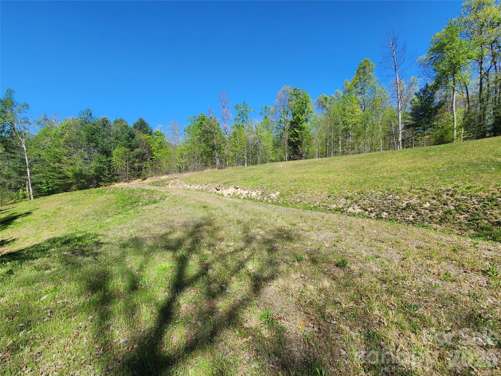 889 Firefly Trail - Photo 5