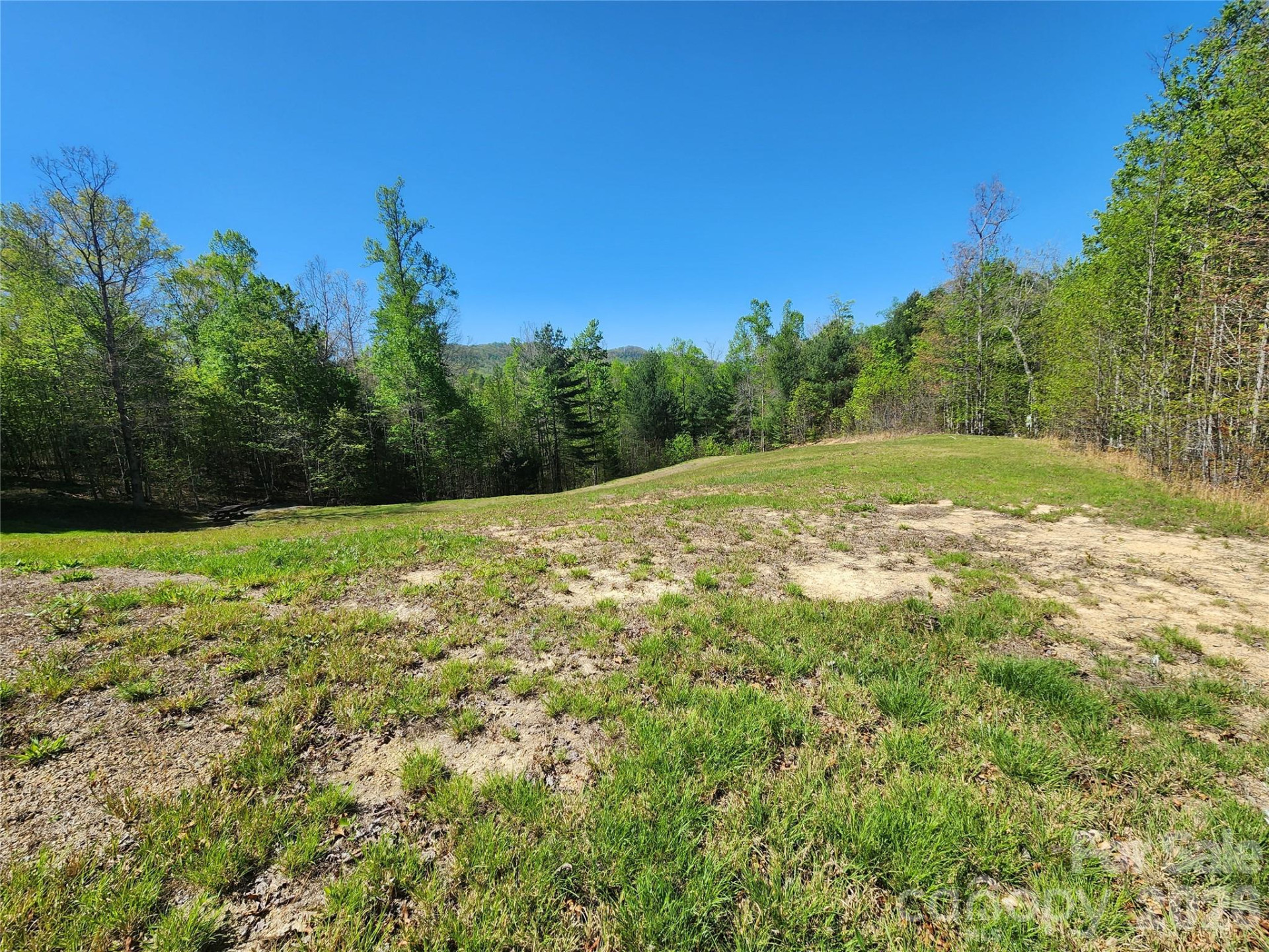 889 Firefly Trail - Photo 6