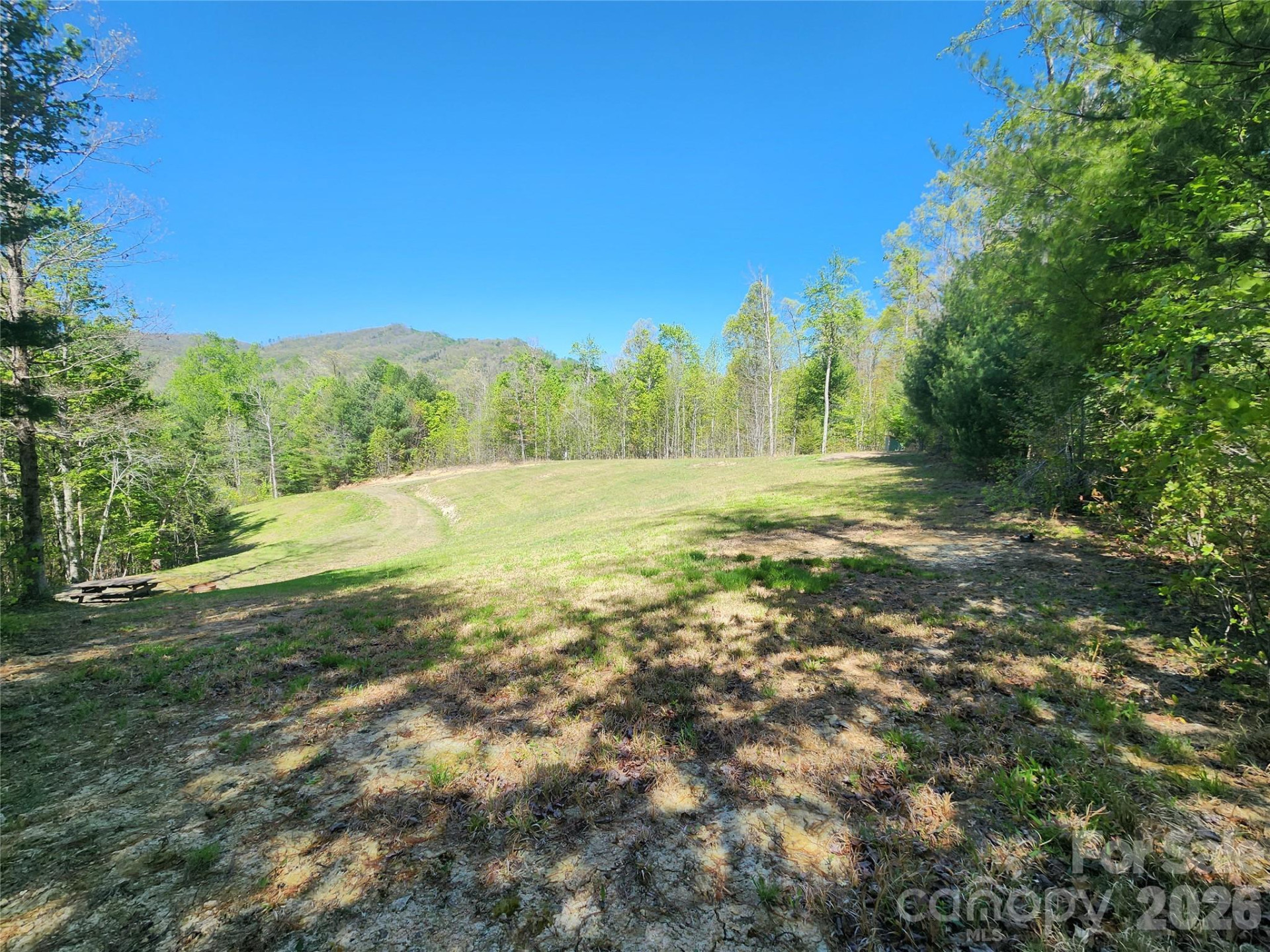 889 Firefly Trail - Photo 8