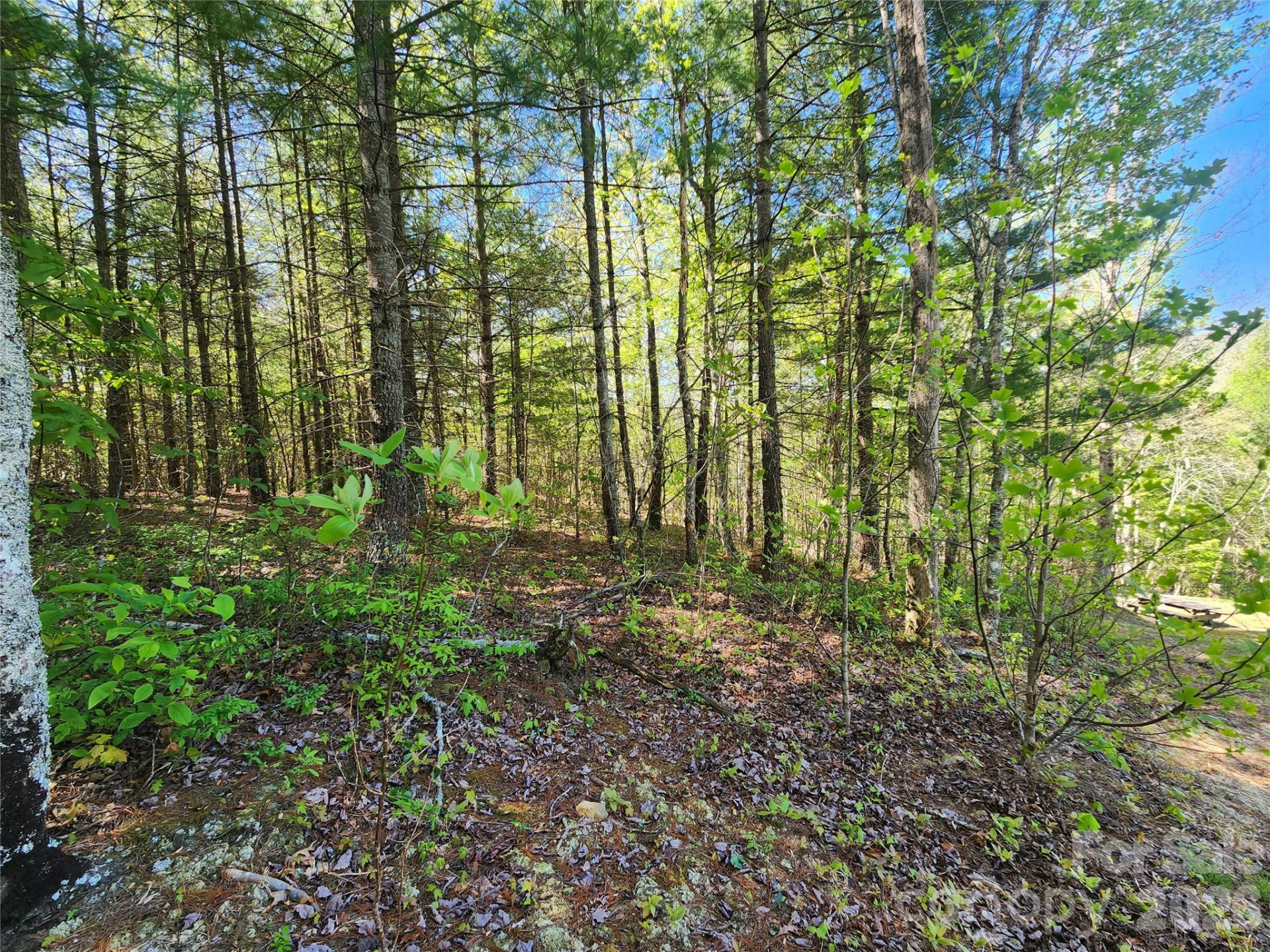 889 Firefly Trail - Photo 9