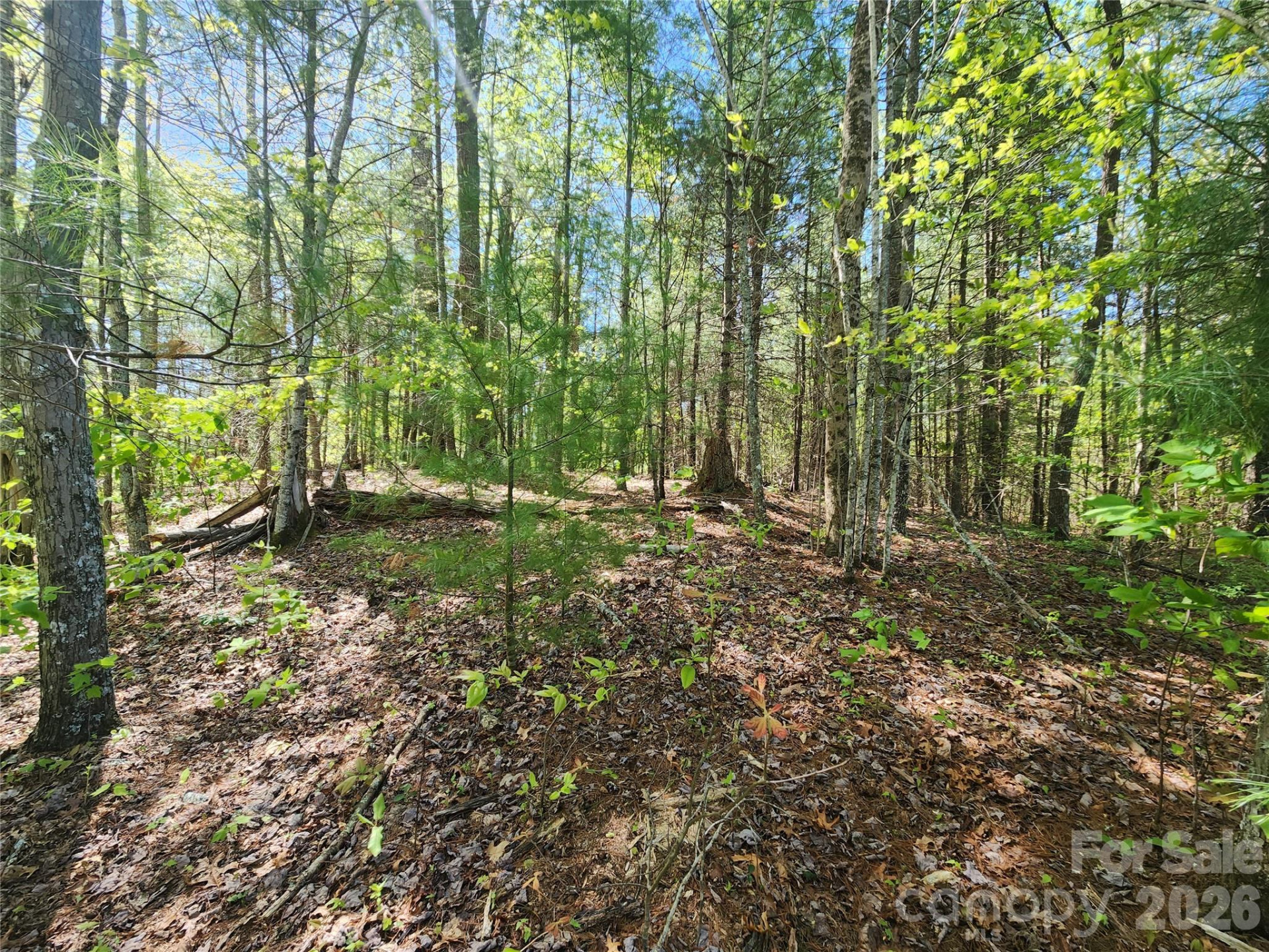 889 Firefly Trail - Photo 10