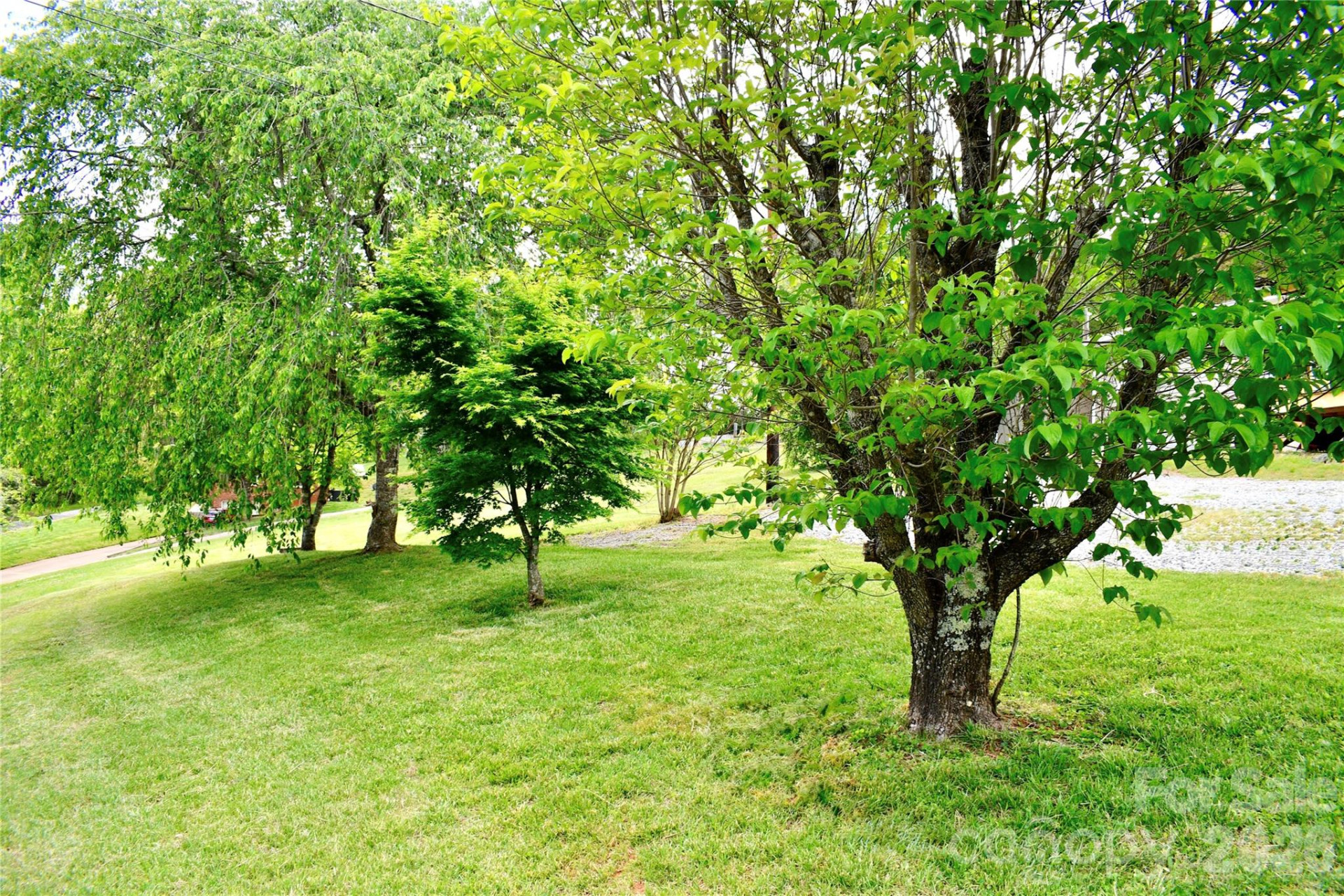 1780 Lytle Mountain Road - Photo 39