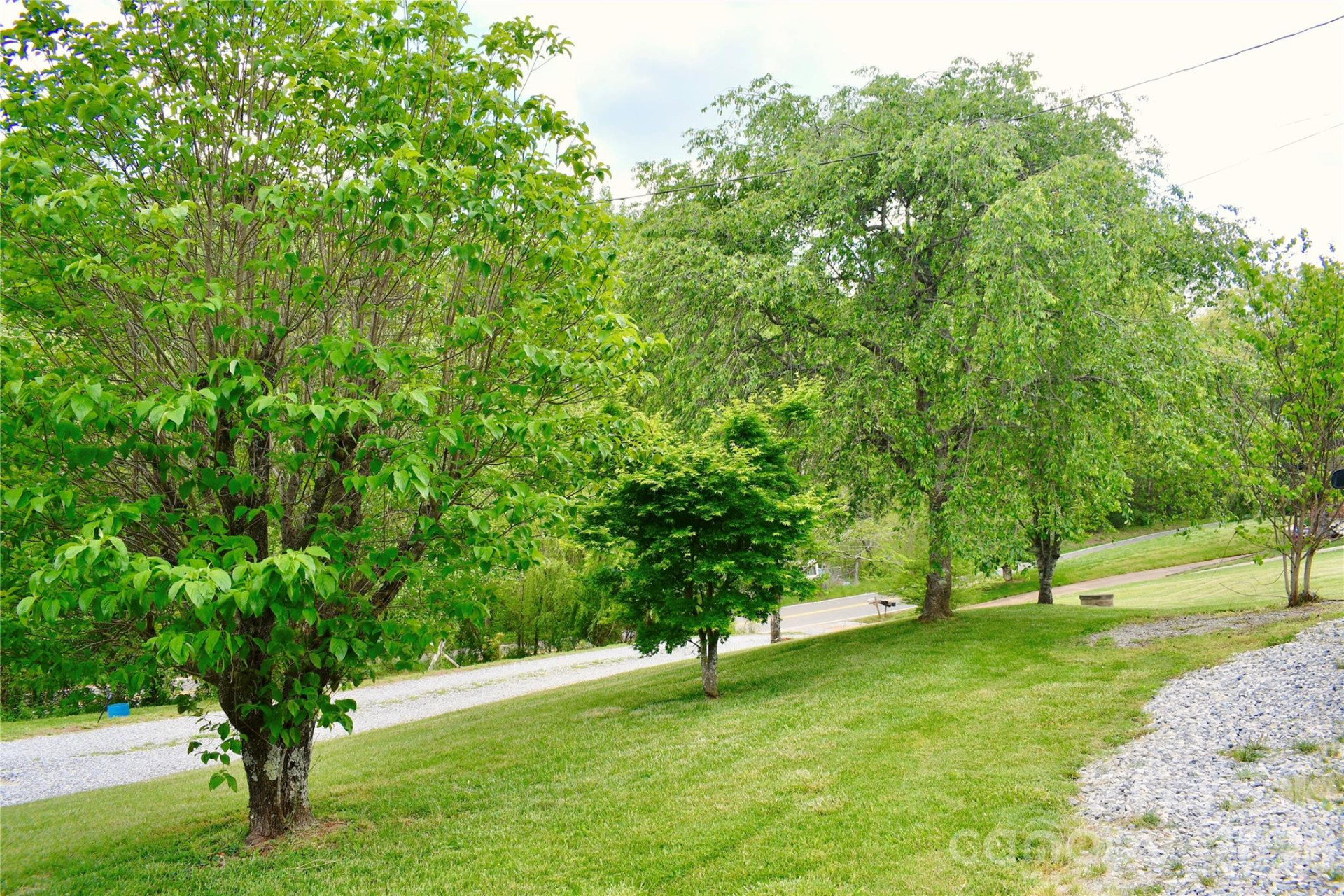 1780 Lytle Mountain Road - Photo 5