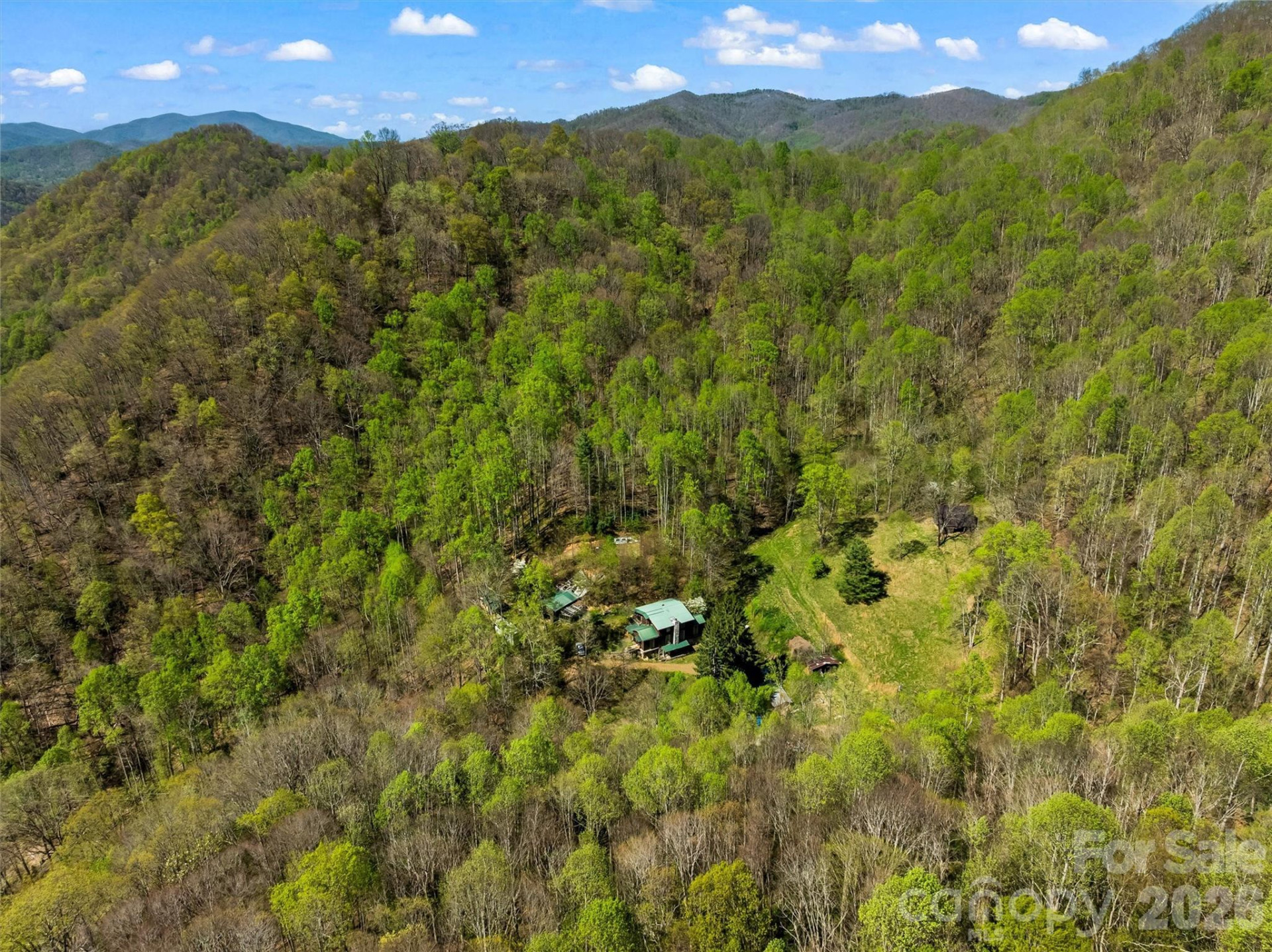 1717 Howard Moore Road - Photo 38