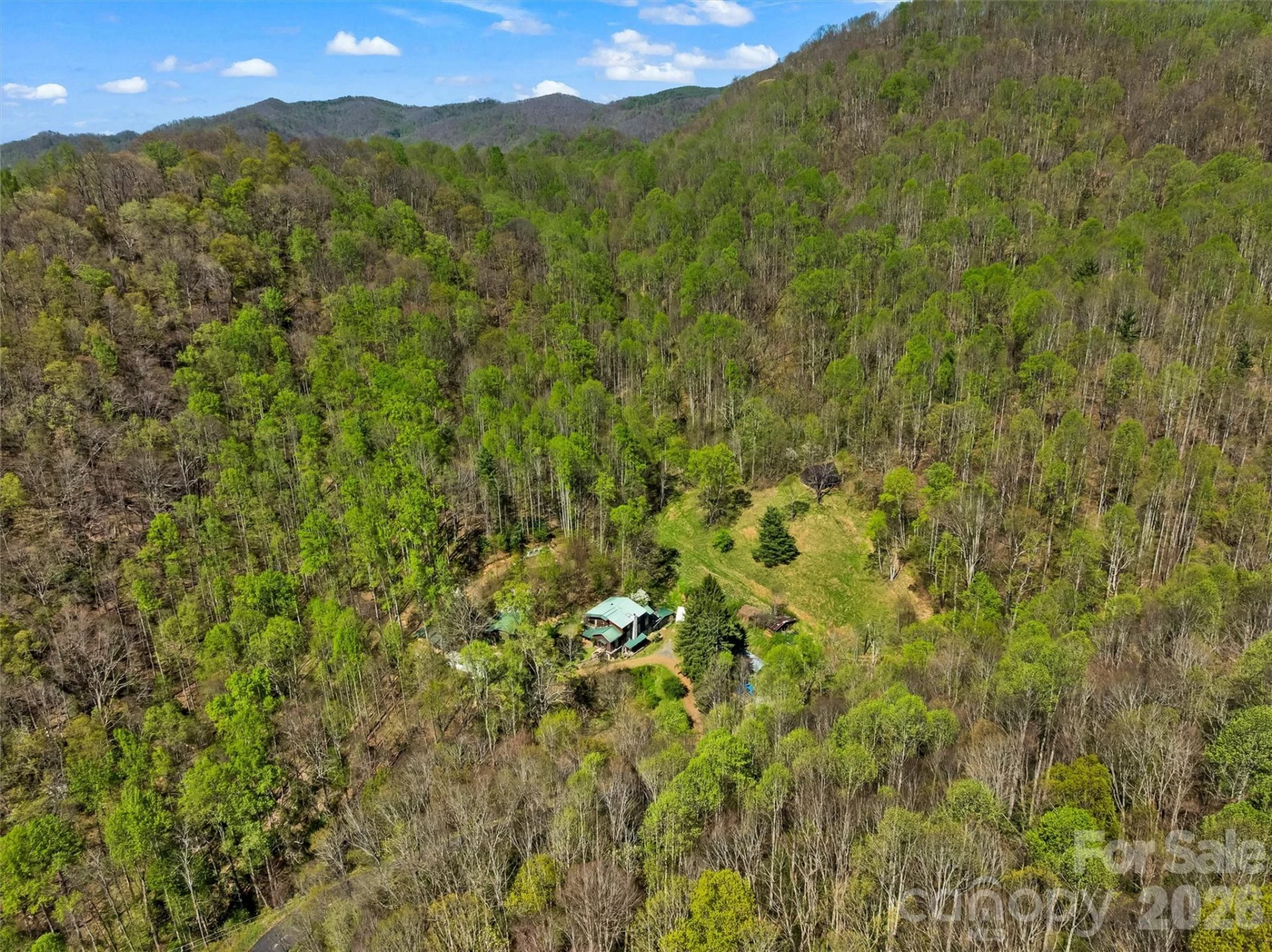 1717 Howard Moore Road - Photo 40