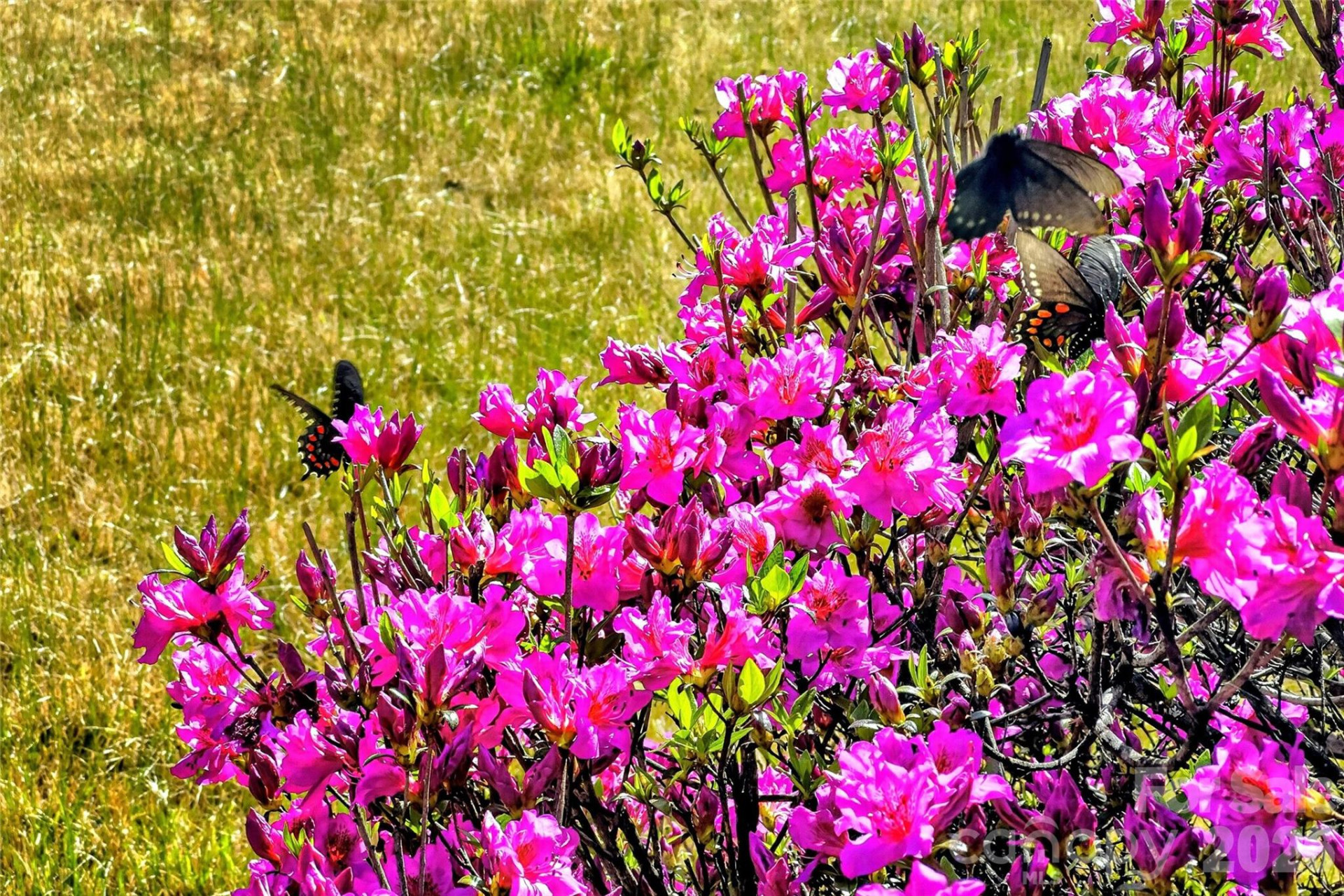 6507 226 Highway - Photo 39