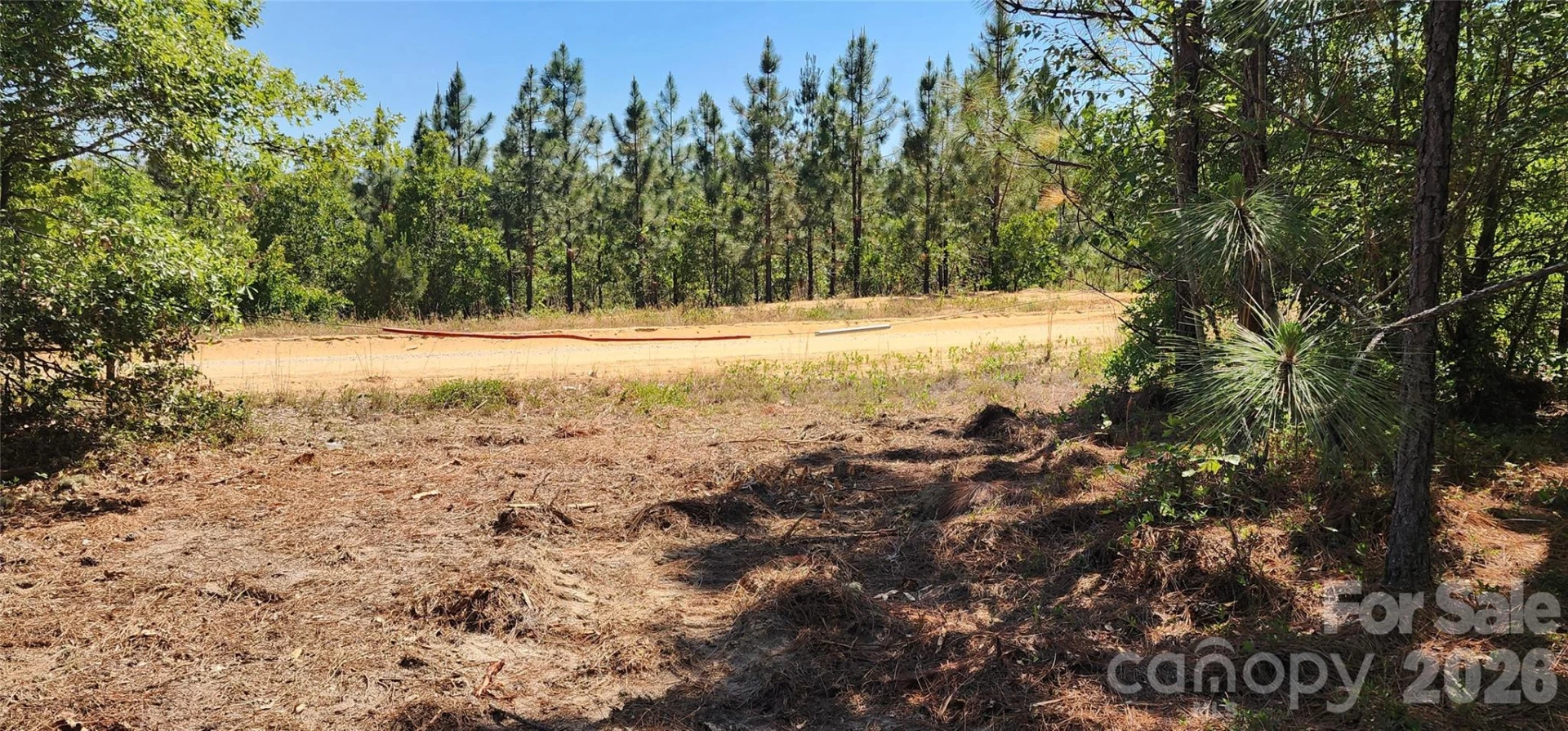 1050 Mcqueen Road - Photo 11