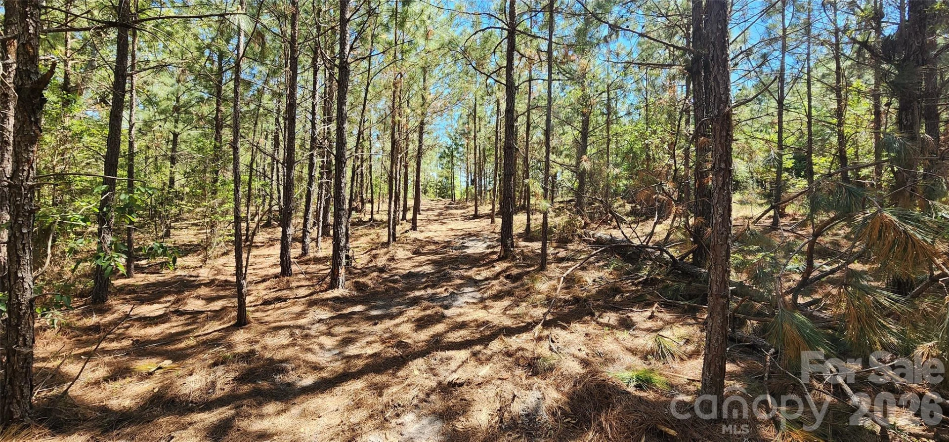 1050 Mcqueen Road - Photo 12