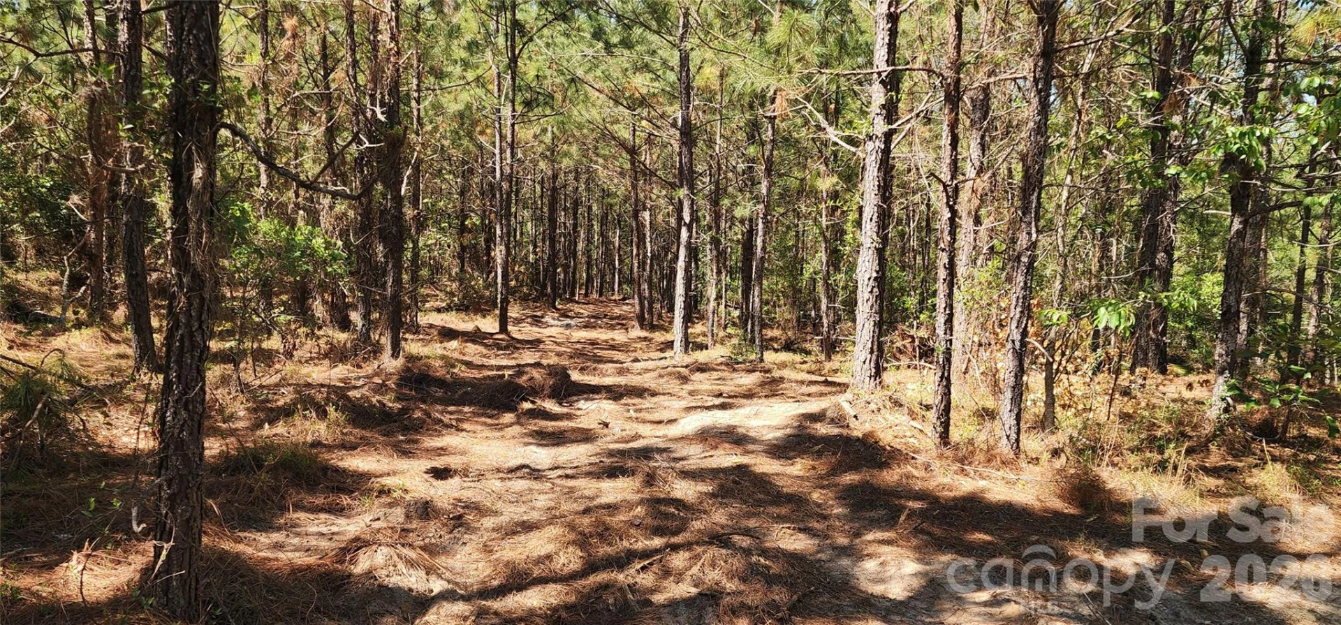 1050 Mcqueen Road - Photo 13