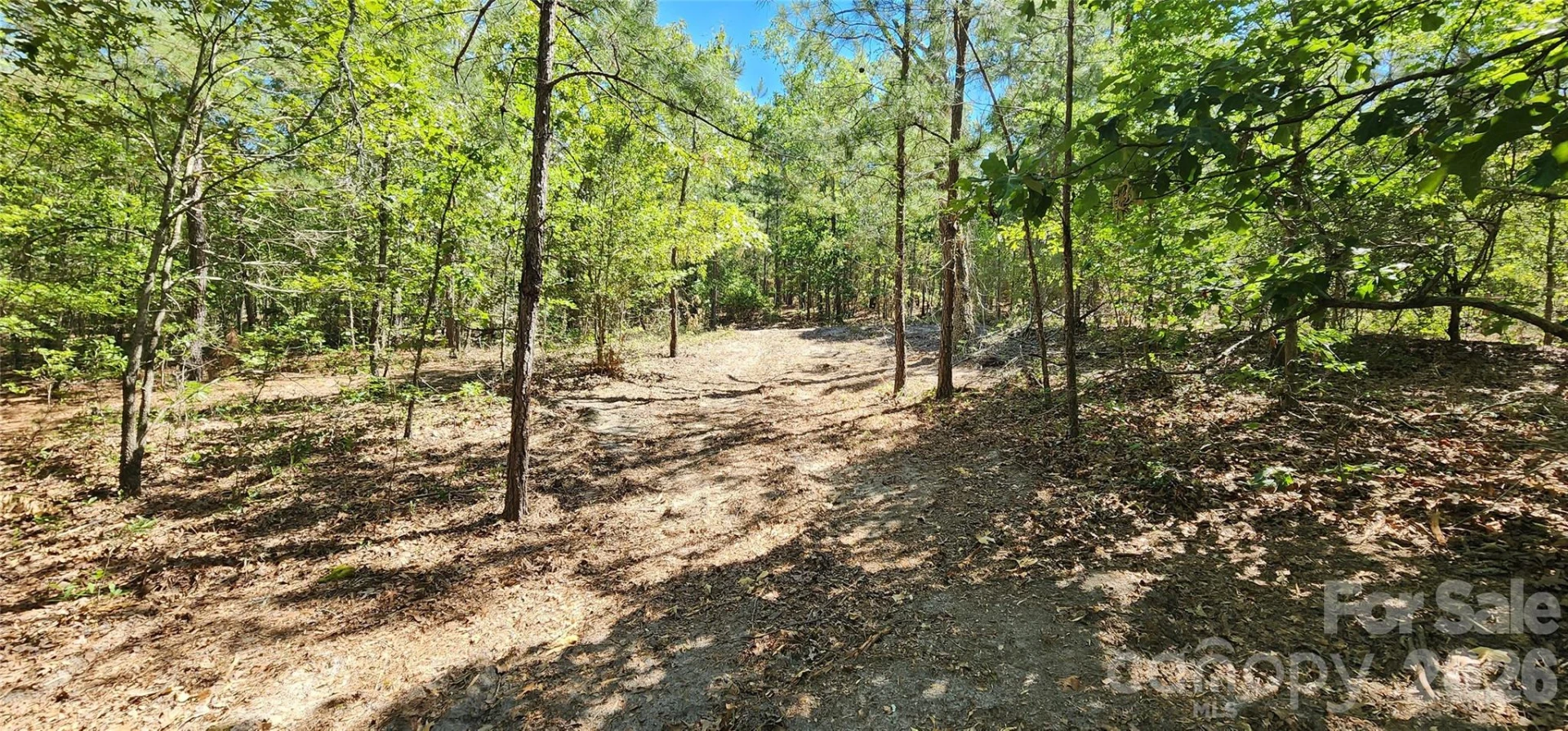 1050 Mcqueen Road - Photo 14