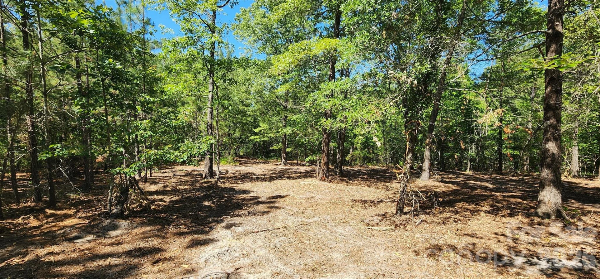 1050 Mcqueen Road - Photo 15