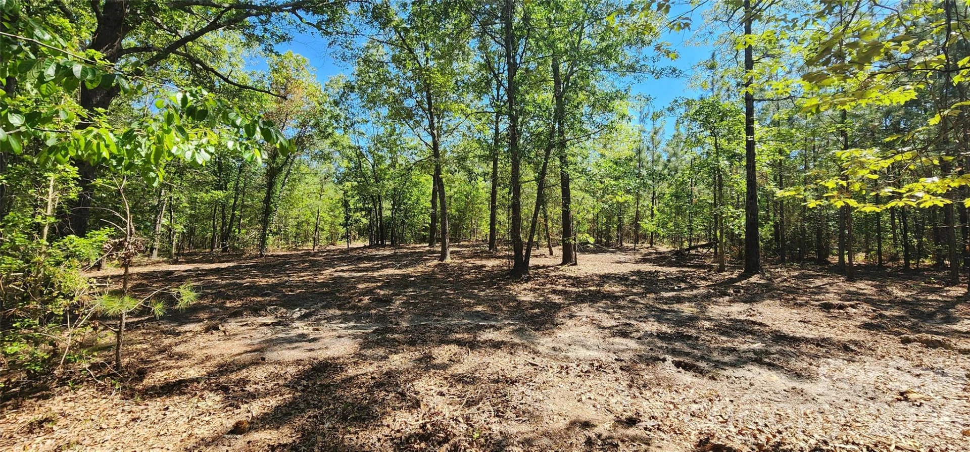 1050 Mcqueen Road - Photo 16