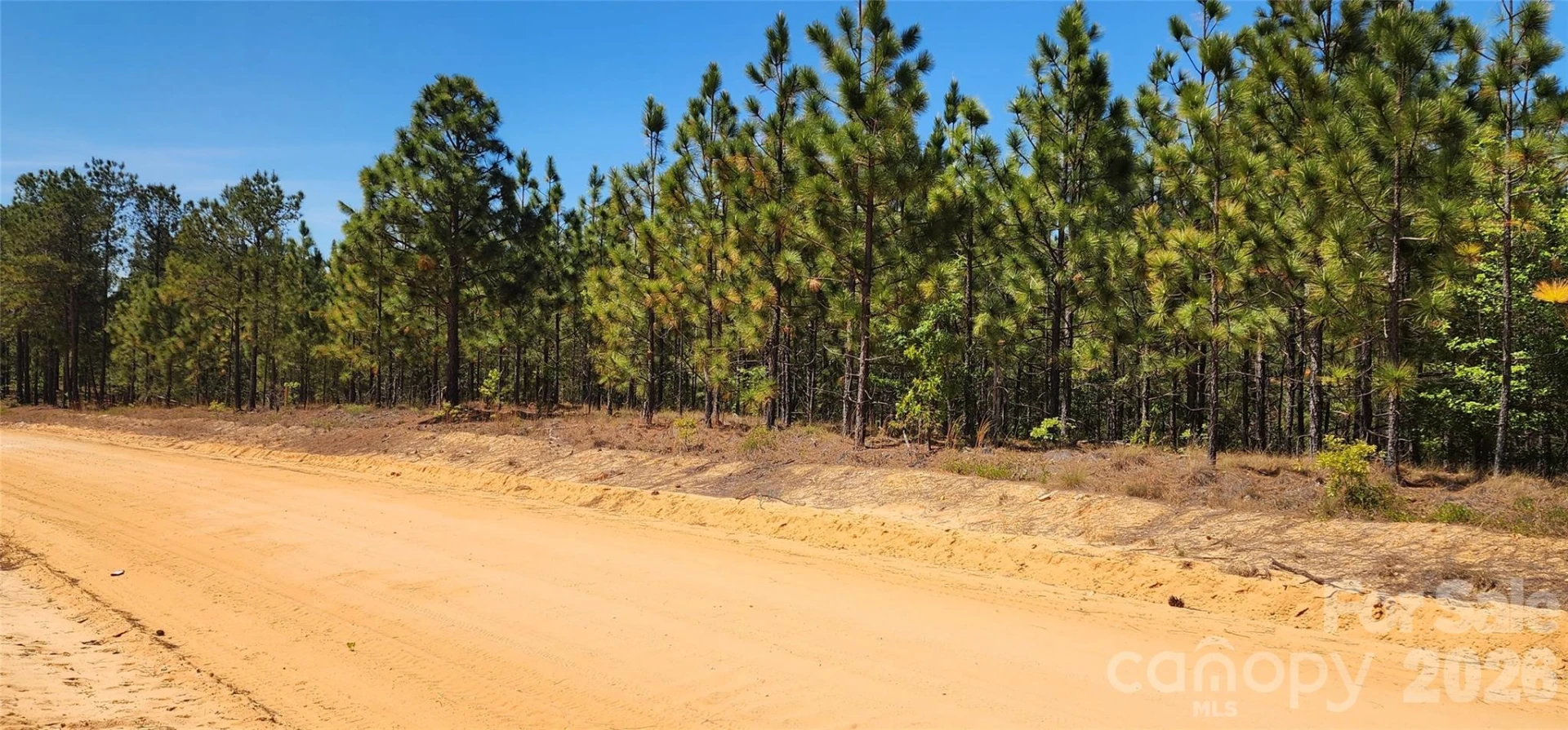 1050 Mcqueen Road - Photo 18