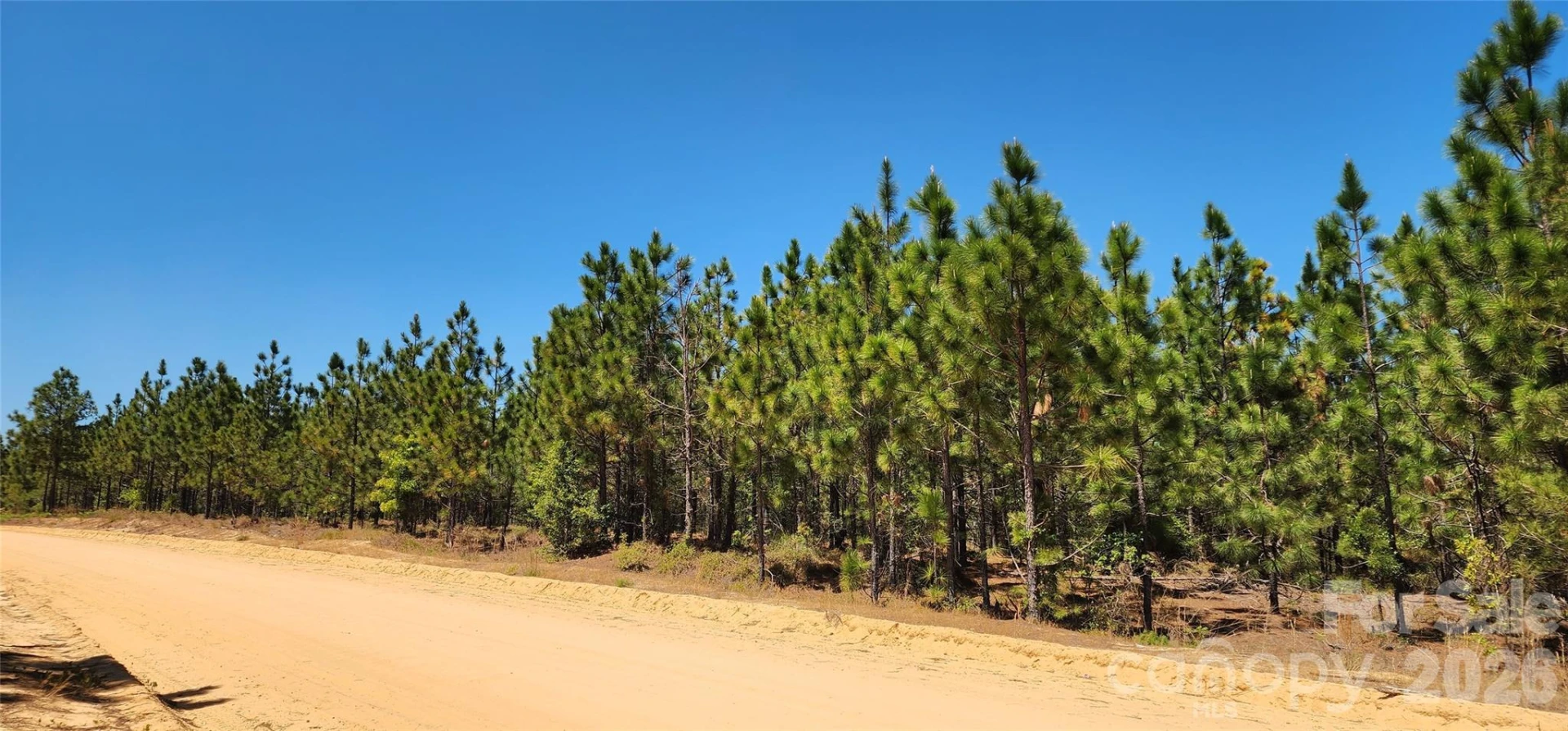 1050 Mcqueen Road - Photo 19