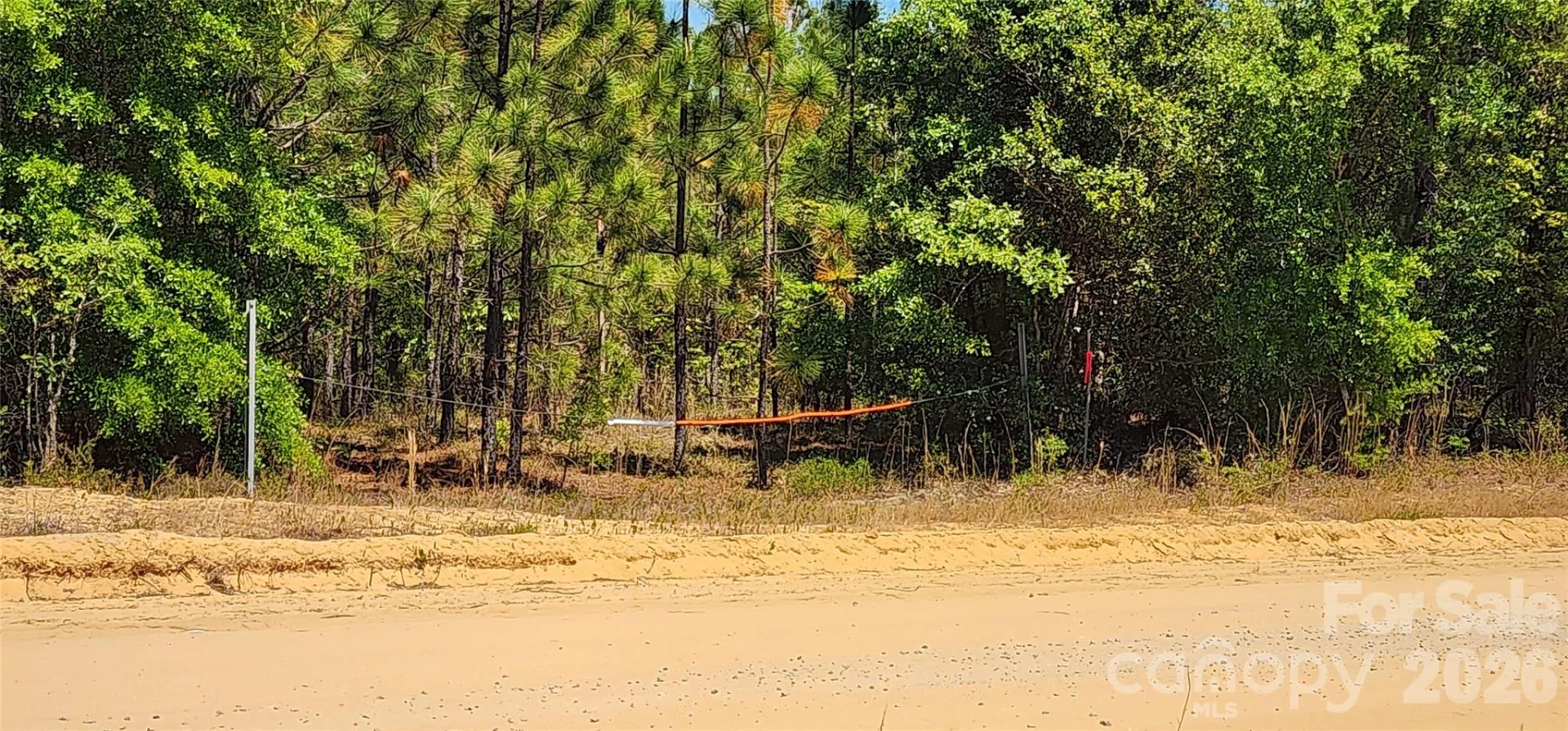 1050 Mcqueen Road - Photo 20