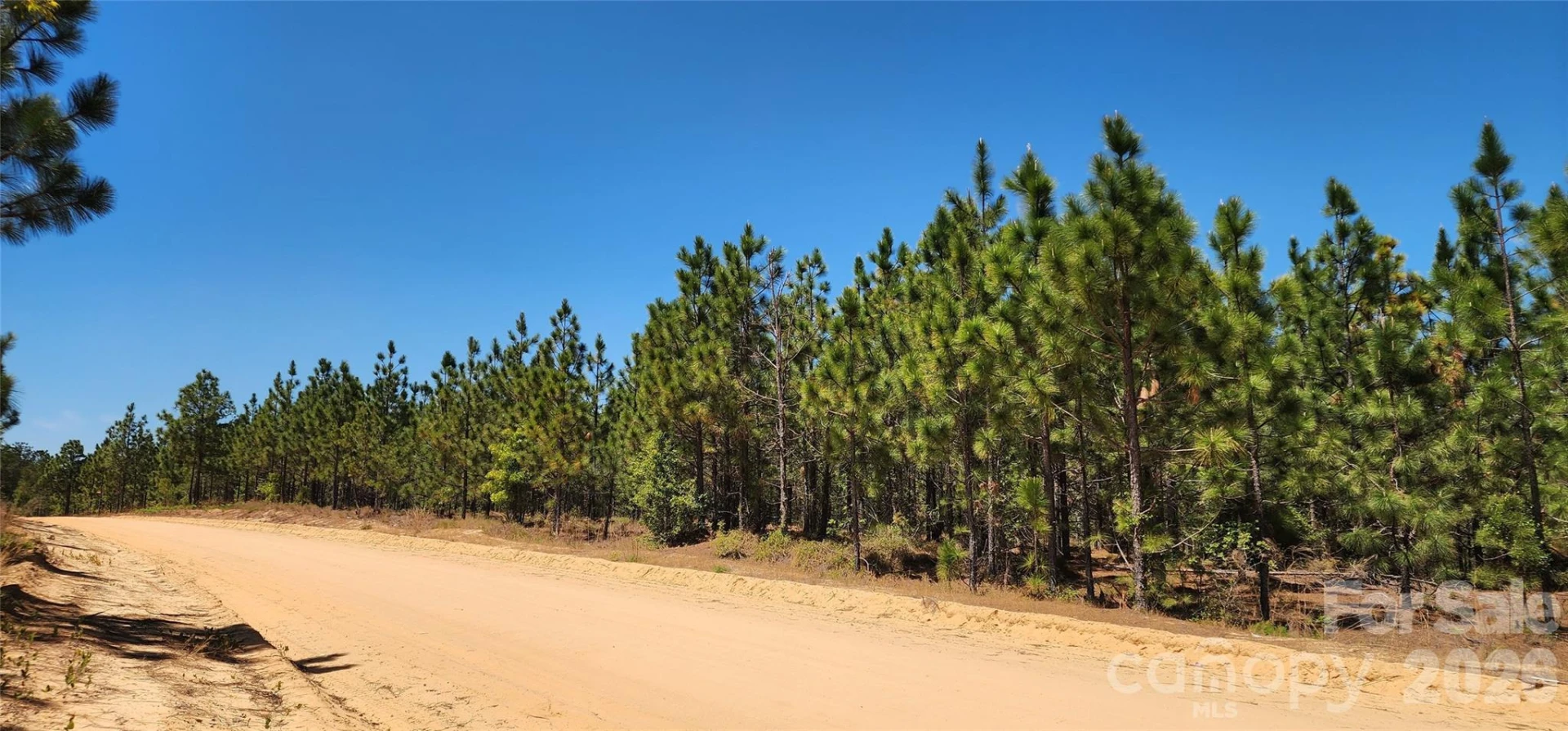 1050 Mcqueen Road - Photo 3