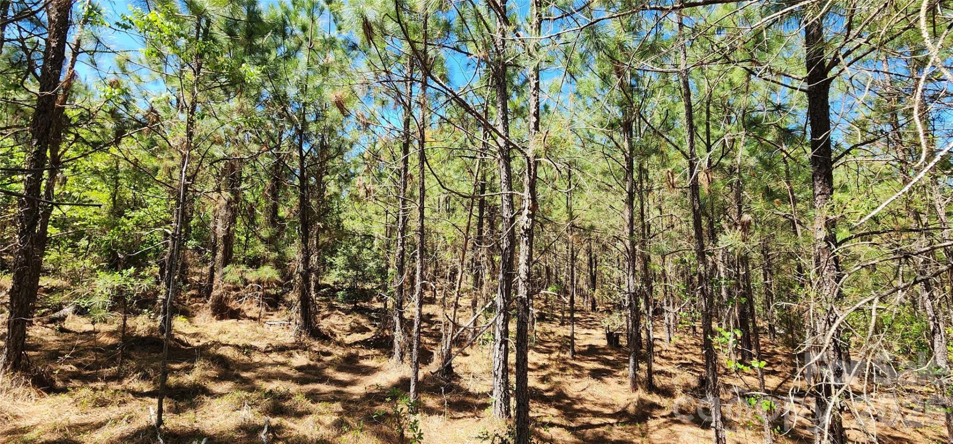 1050 Mcqueen Road - Photo 21