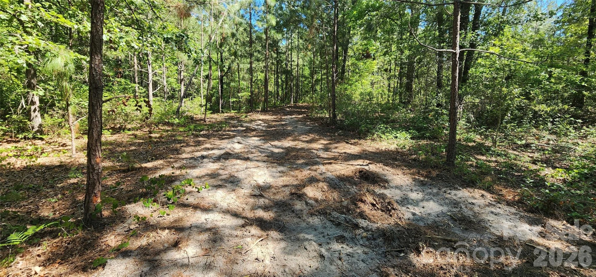 1050 Mcqueen Road - Photo 22