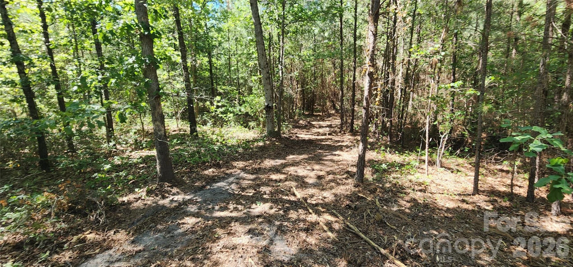 1050 Mcqueen Road - Photo 23