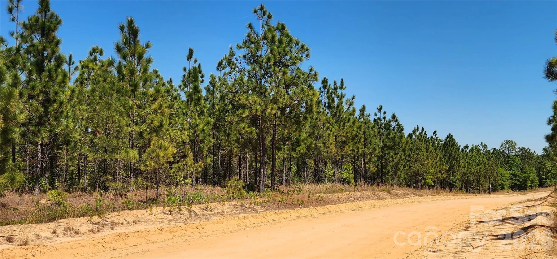 1050 Mcqueen Road - Photo 24