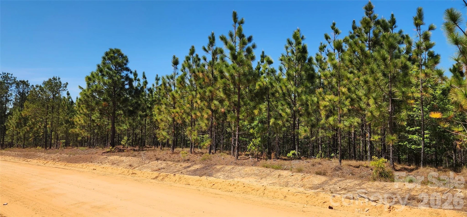 1050 Mcqueen Road - Photo 25