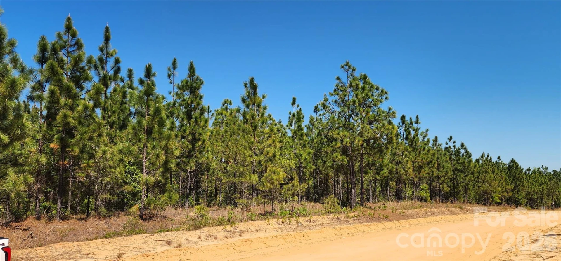 1050 Mcqueen Road - Photo 26