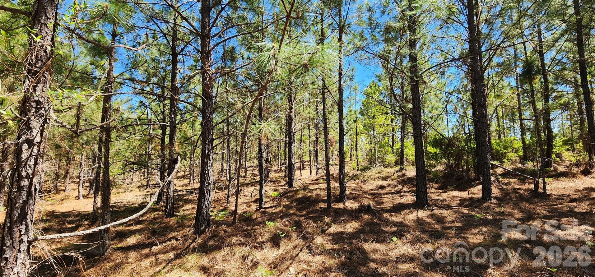 1050 Mcqueen Road - Photo 27