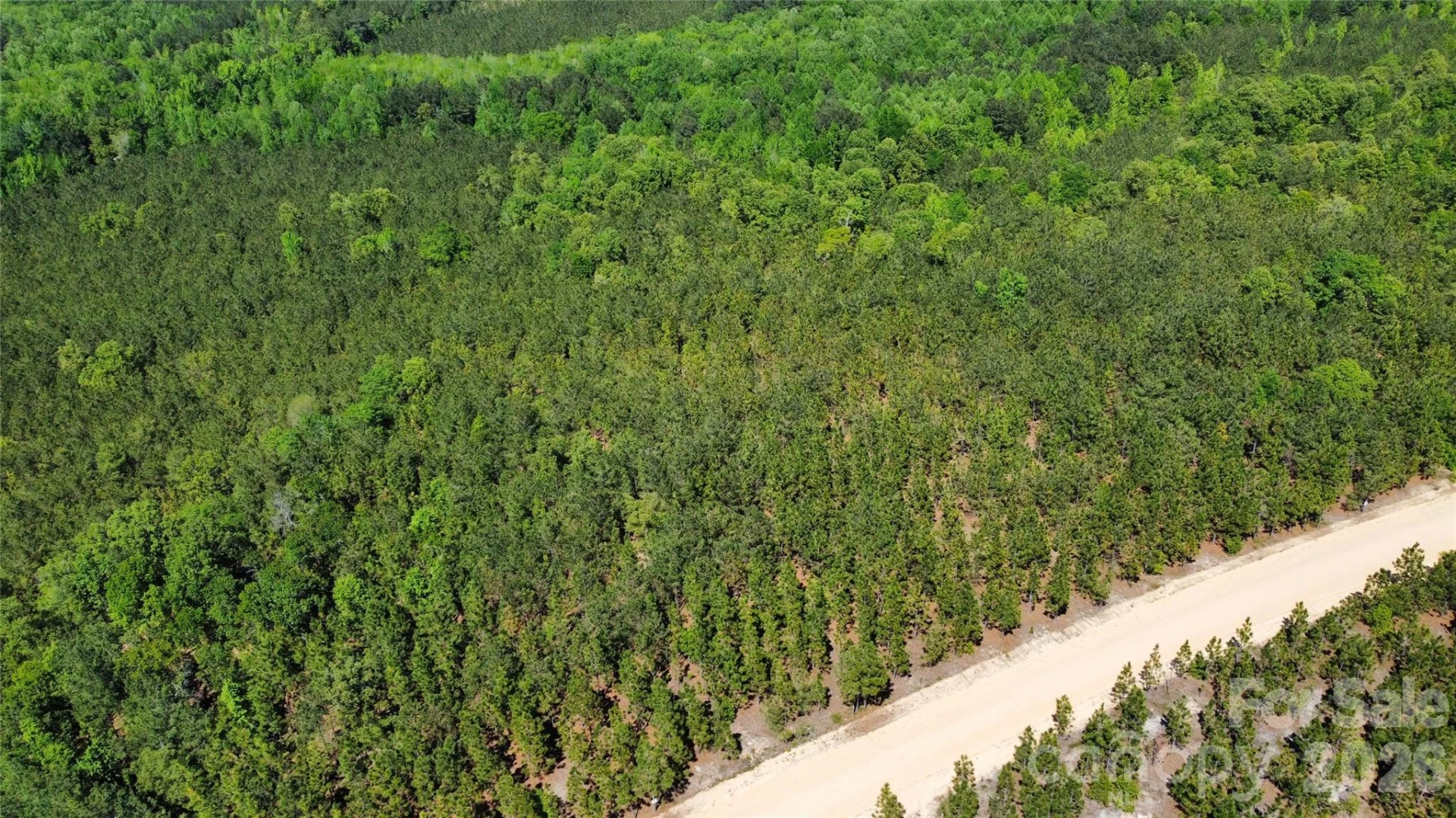 1050 Mcqueen Road - Photo 29